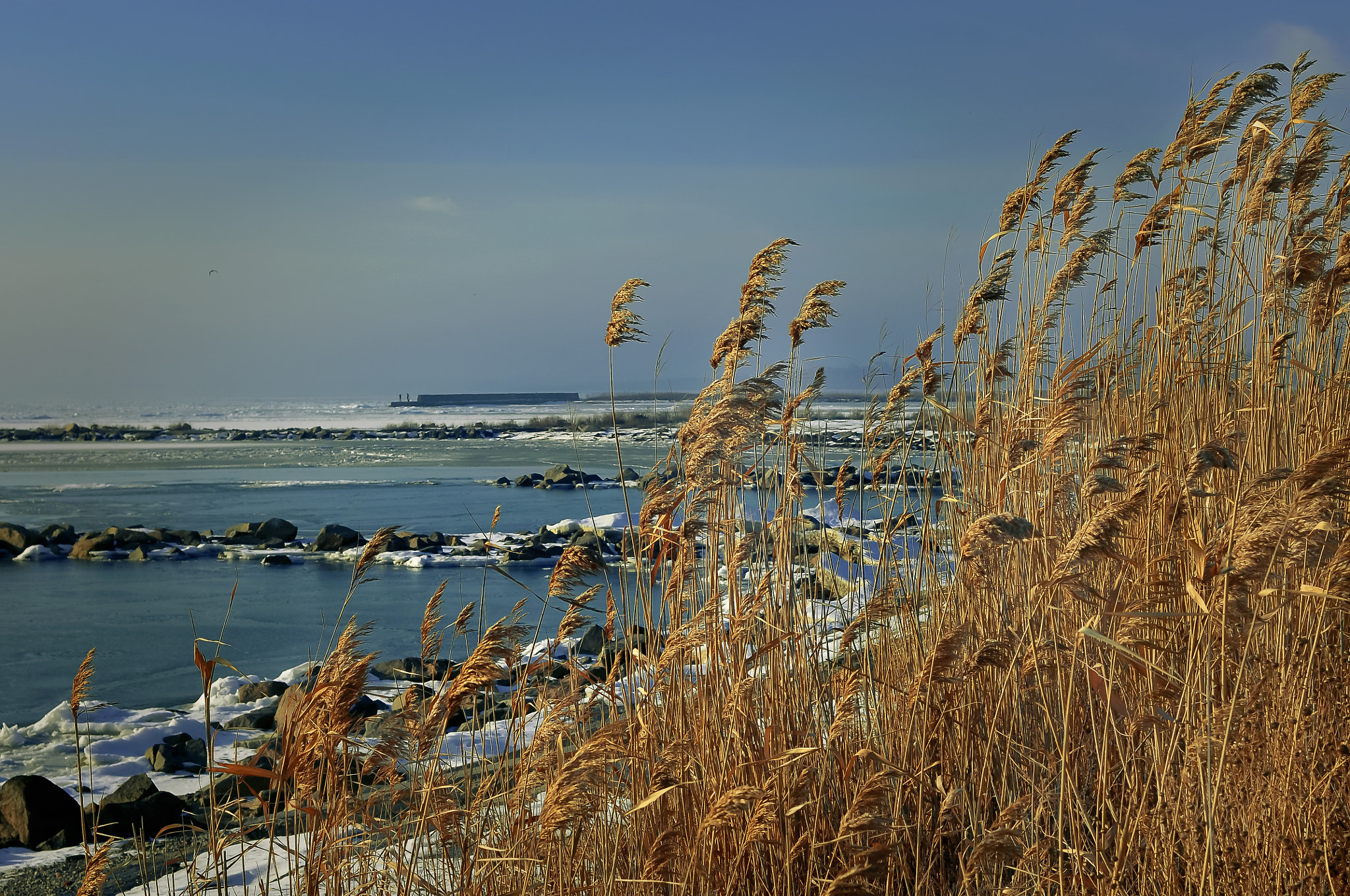 Nikon D300 sample photo. Зима на Азовском море photography