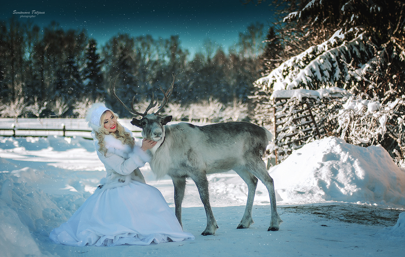Nikon D90 + Nikon AF Nikkor 50mm F1.4D sample photo. Photoshoot with reindeer photography