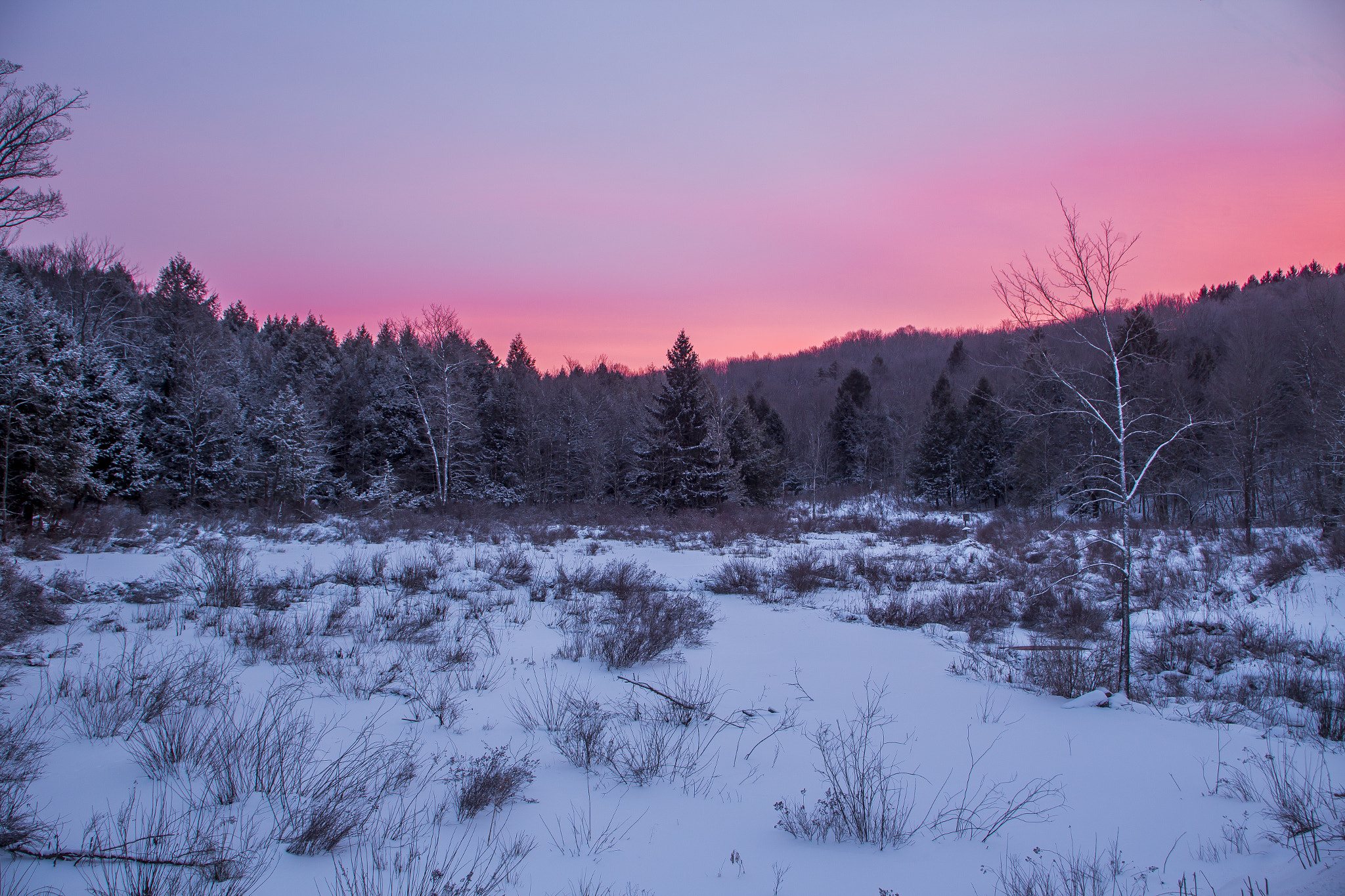 Canon EOS 6D + Canon EF 20-35mm F3.5-4.5 USM sample photo. Winter morning photography