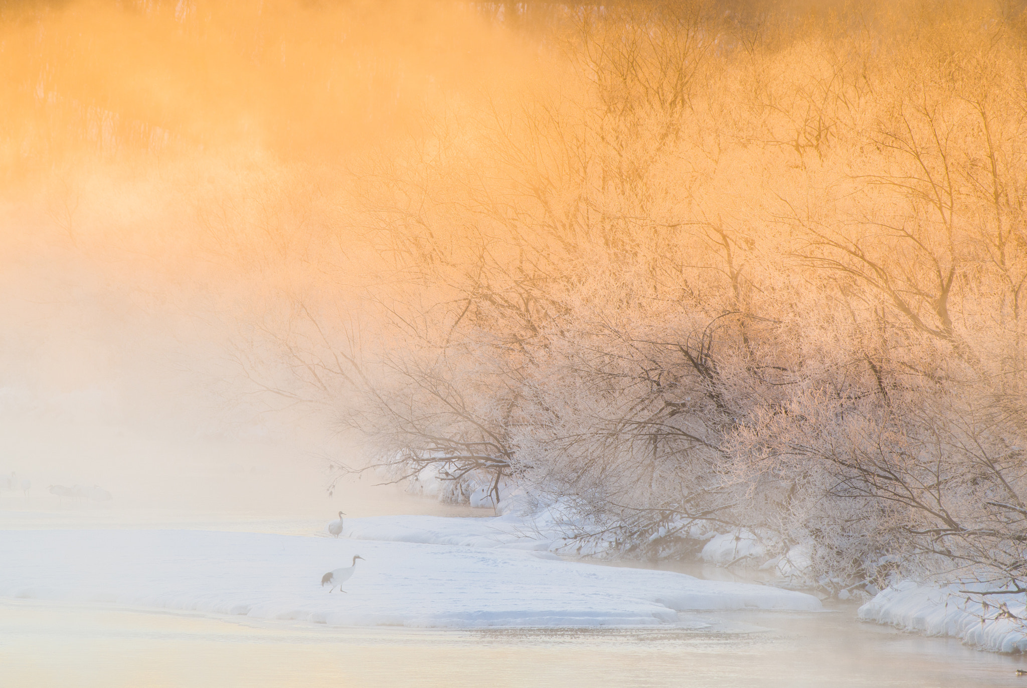 Pentax K-1 + Pentax D FA 150-450mm F4.5-5.6 ED DC AW sample photo. Awakening photography