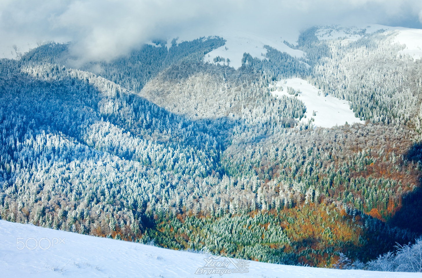 Canon EOS 5D sample photo. First winter snow and last autumn colorful foliage in mount photography