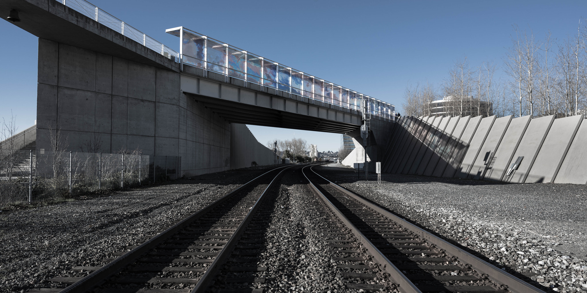 Nikon D800 + Nikon AF Nikkor 24mm F2.8D sample photo. To infinity in seattle photography