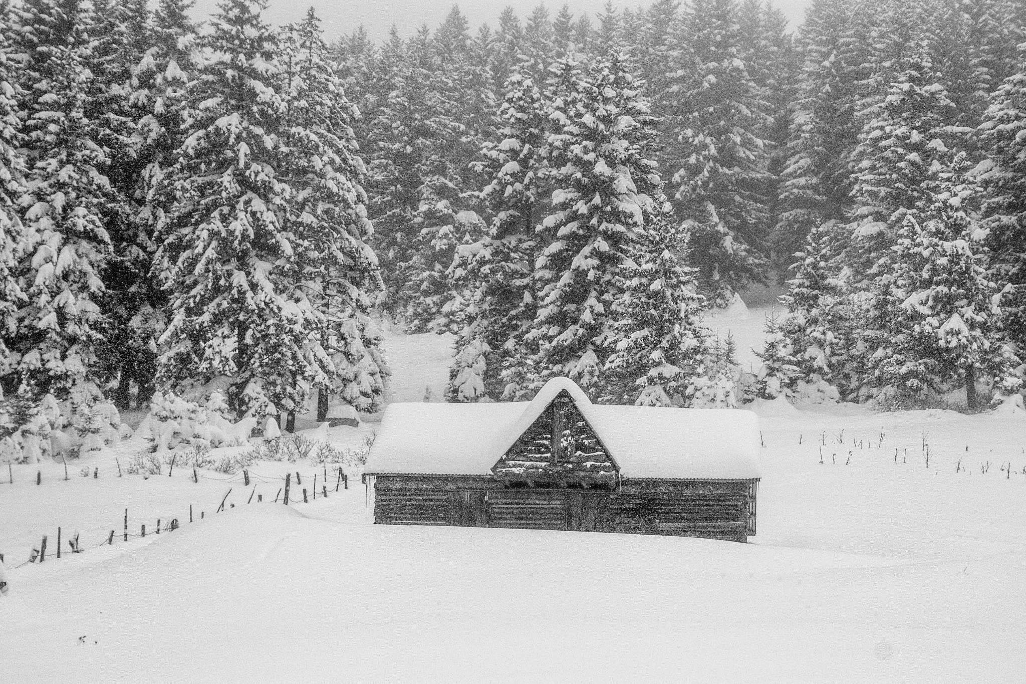 Canon EOS 60D sample photo. Winter... photography