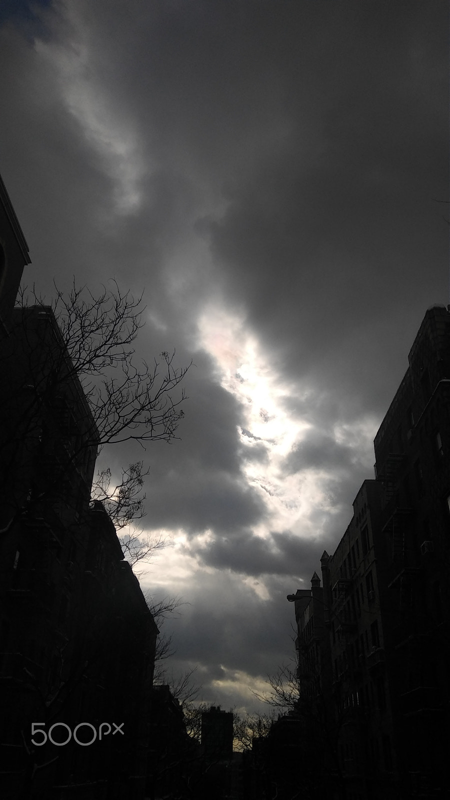 LG STYLO 2 PLUS sample photo. Zombie weather photography