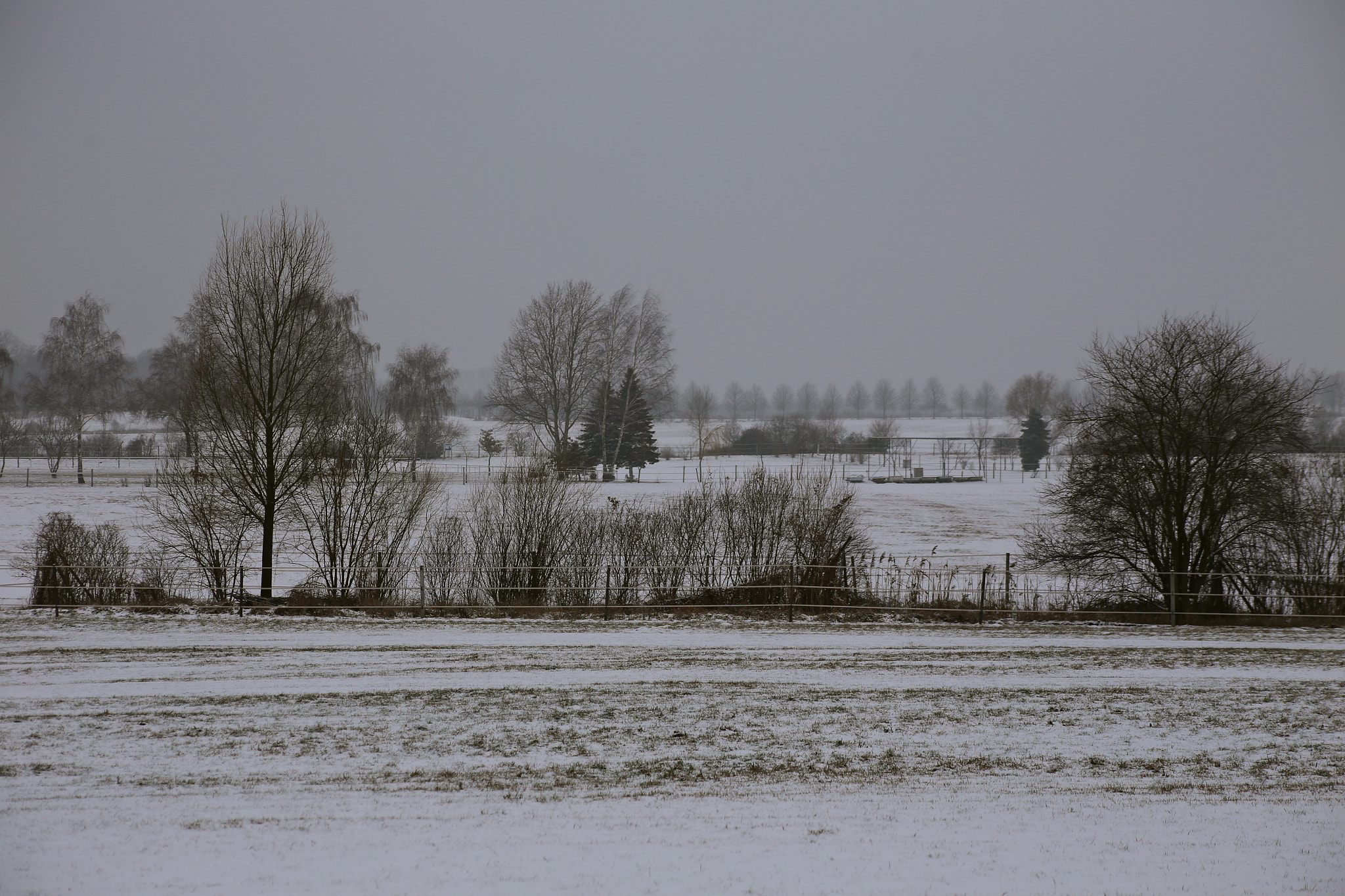 Canon EF 75-300mm f/4-5.6 USM sample photo. Berlin-stadtrandsiedlung-malchow photography