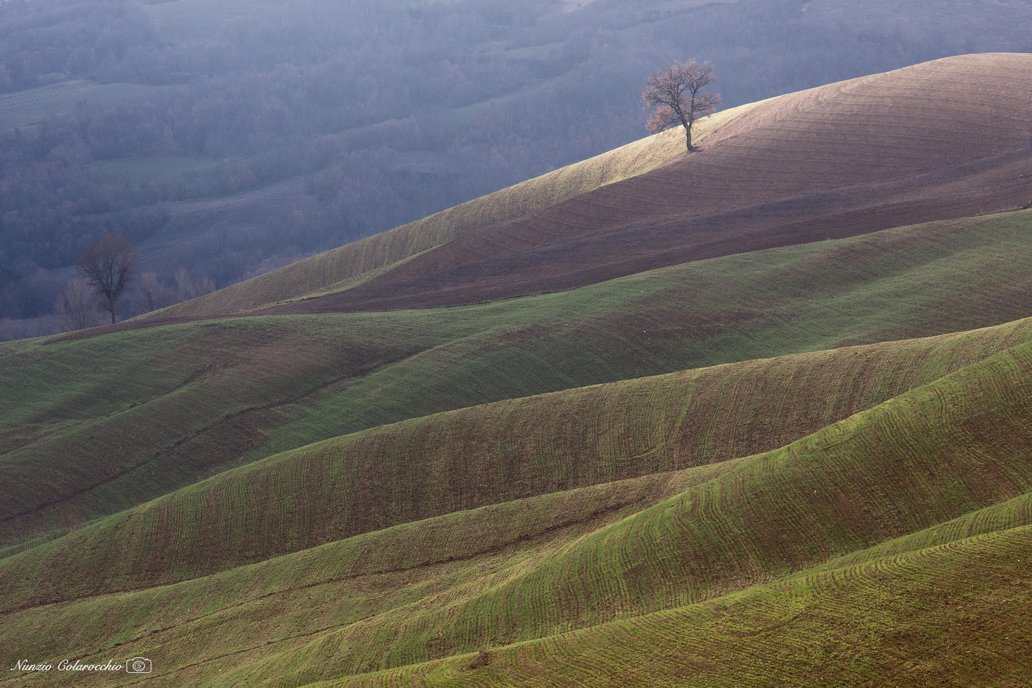 Sigma 70-200mm F2.8 EX DG OS HSM sample photo. Hills in molise photography