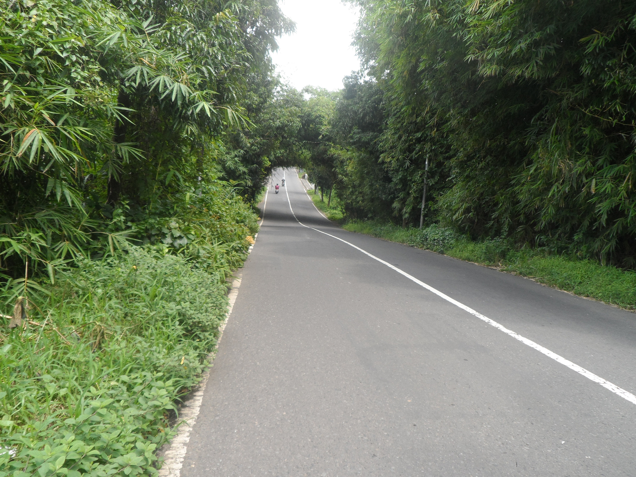 Samsung ST200 / ST200F / ST201 / ST201F / ST205F sample photo. " alternatif road " photography
