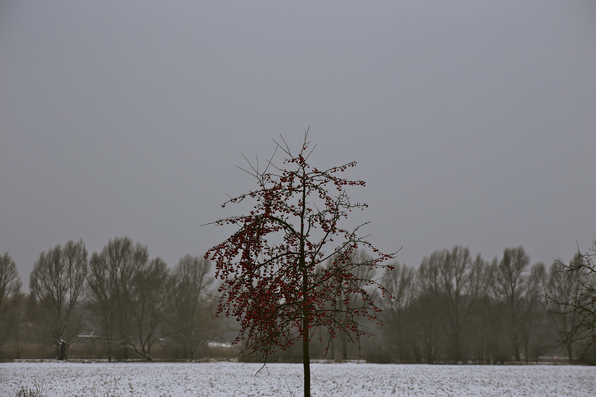Canon EF 75-300mm f/4-5.6 USM sample photo. Berlin-stadtrandsiedlung-malchow photography