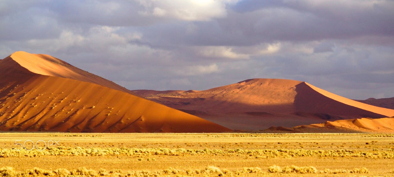 Sony a99 II + Minolta/Sony AF 70-200mm F2.8 G sample photo. Dunes in the namib desert photography