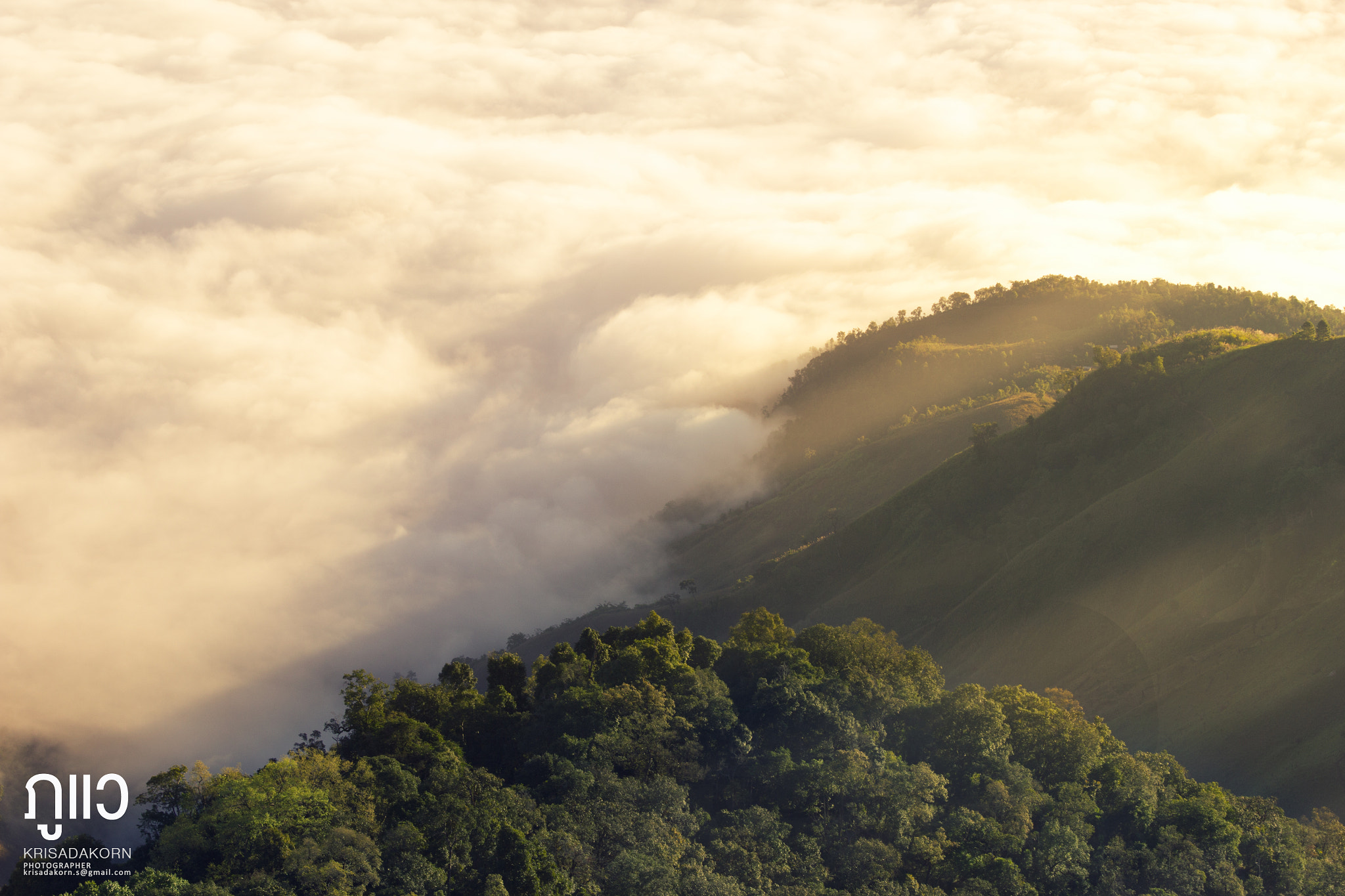 Canon EOS 60D + Canon EF 70-200mm F4L IS USM sample photo. The mist photography