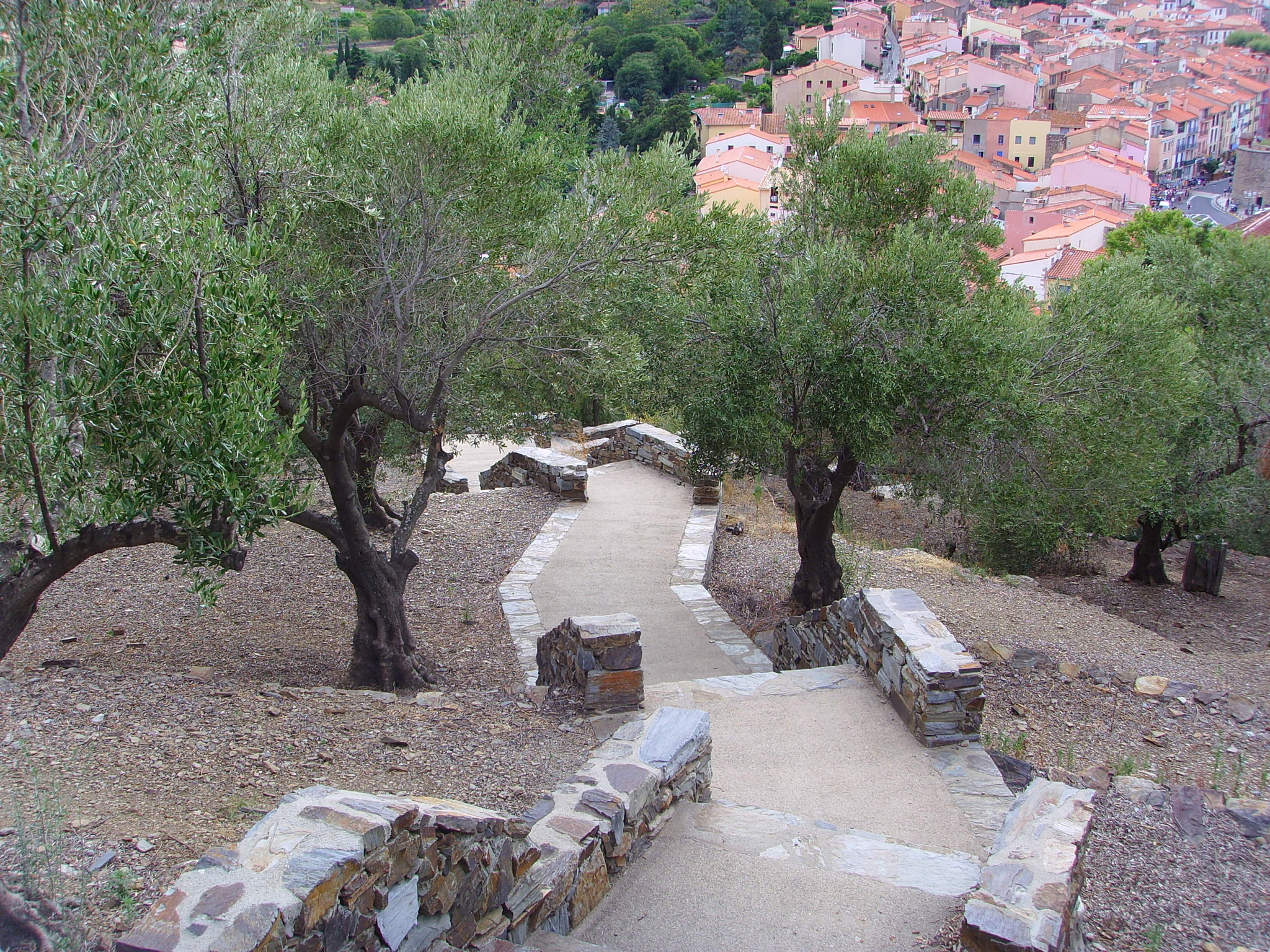 Samsung Digimax i6 PMP, Samsung #11 PMP sample photo. Collioure photography