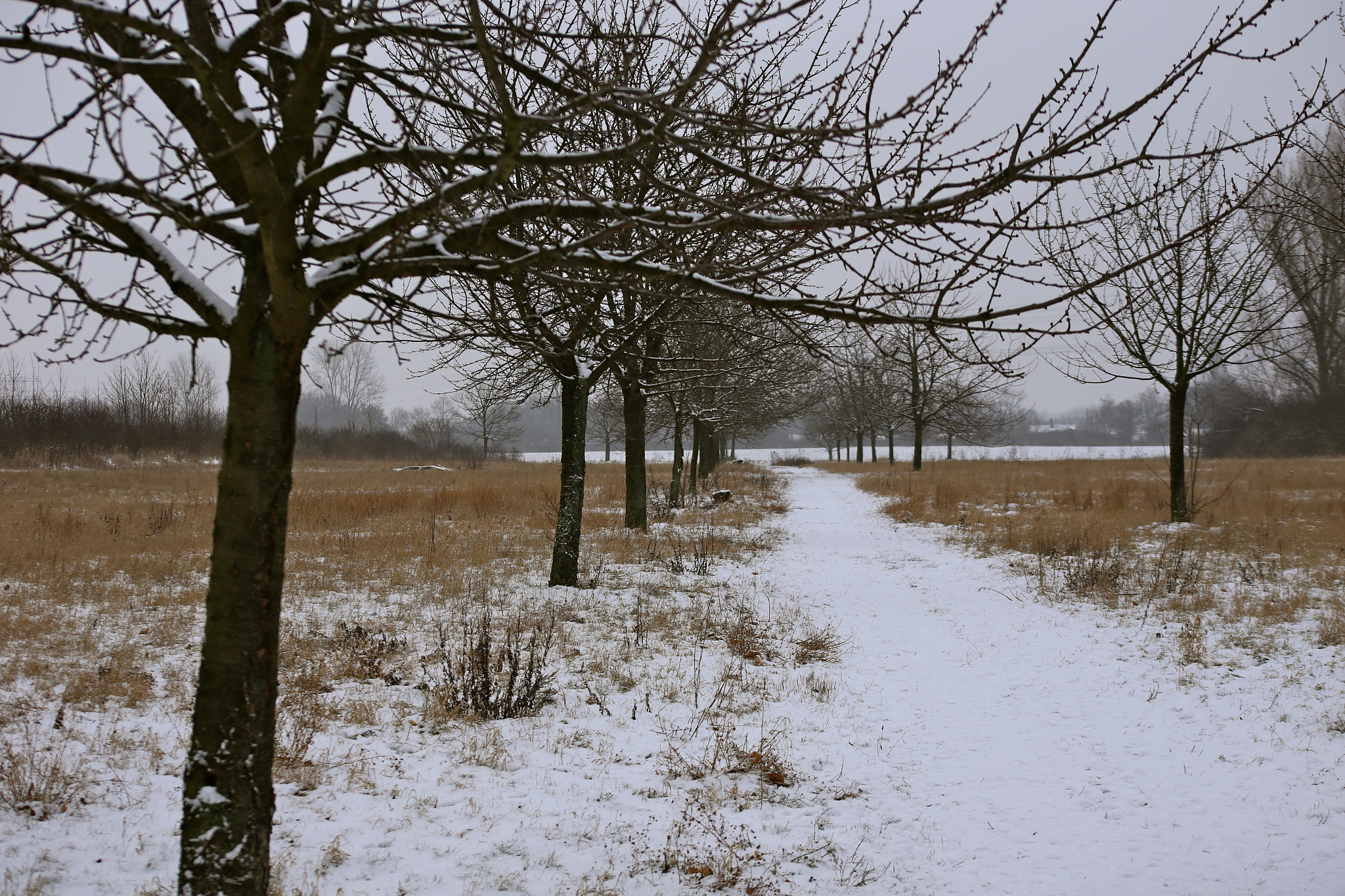 Canon EF 75-300mm f/4-5.6 USM sample photo. Berlin-stadtrandsiedlung-malchow photography
