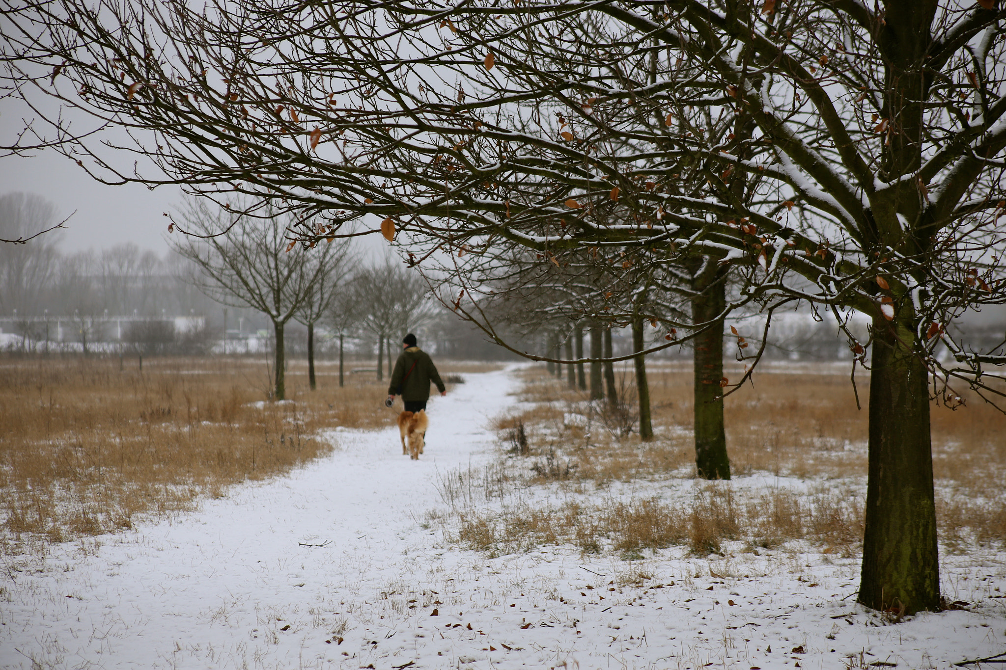 Canon EOS 6D + Canon EF 75-300mm f/4-5.6 USM sample photo. Berlin-stadtrandsiedlung-malchow photography