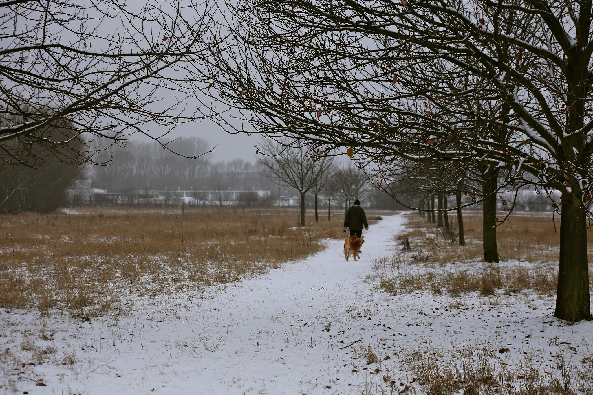 Canon EOS 6D sample photo. Berlin-stadtrandsiedlung-malchow photography