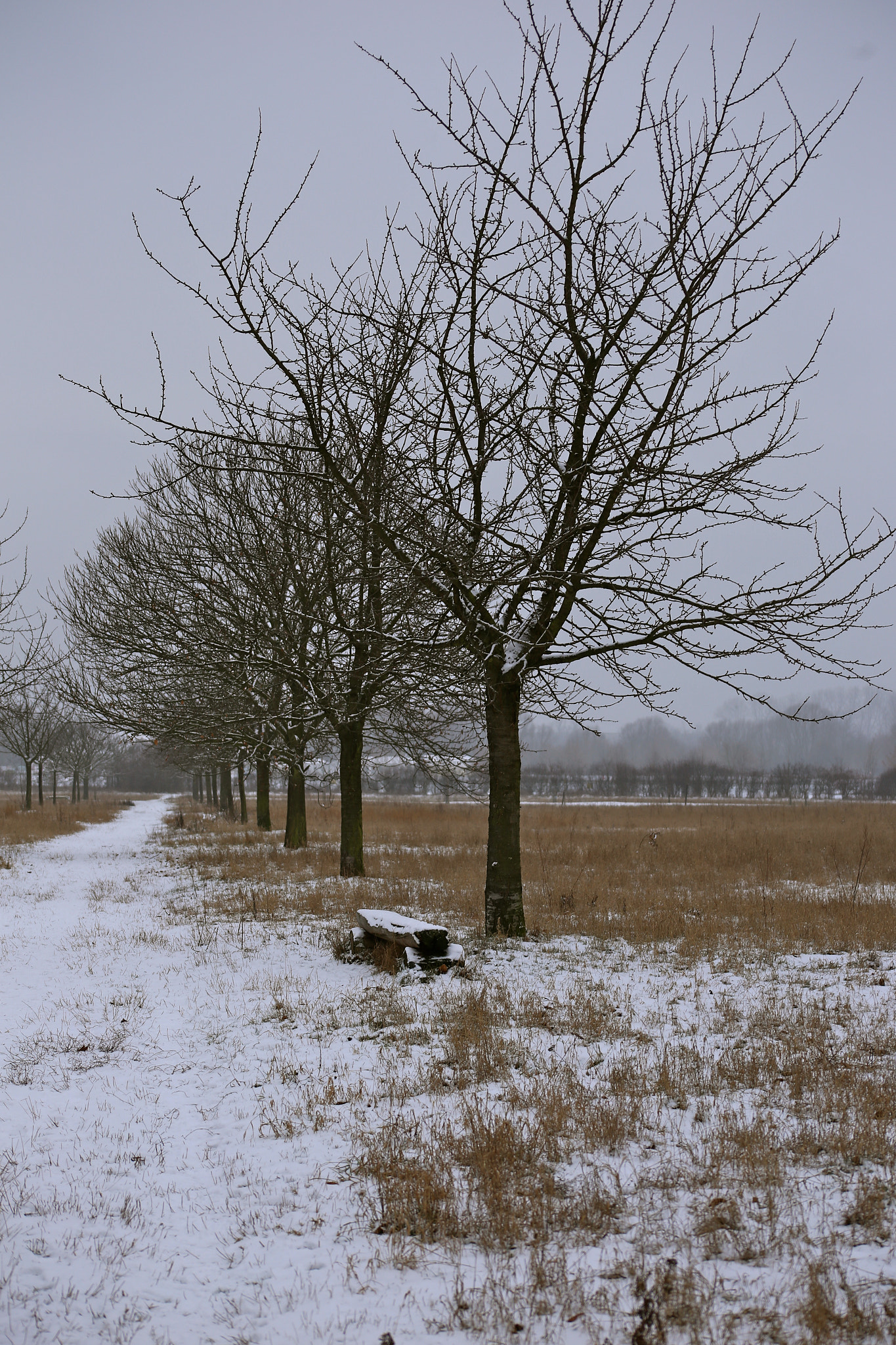 Canon EF 75-300mm f/4-5.6 USM sample photo. Berlin-stadtrandsiedlung-malchow photography