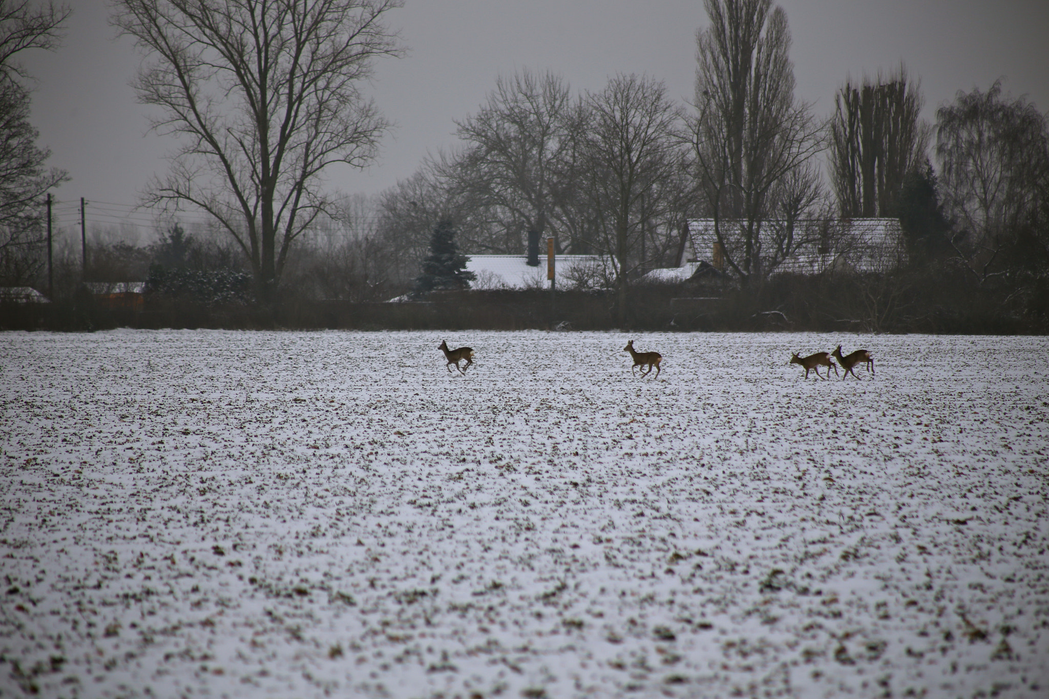 Canon EOS 6D sample photo. Berlin-stadtrandsiedlung-malchow photography