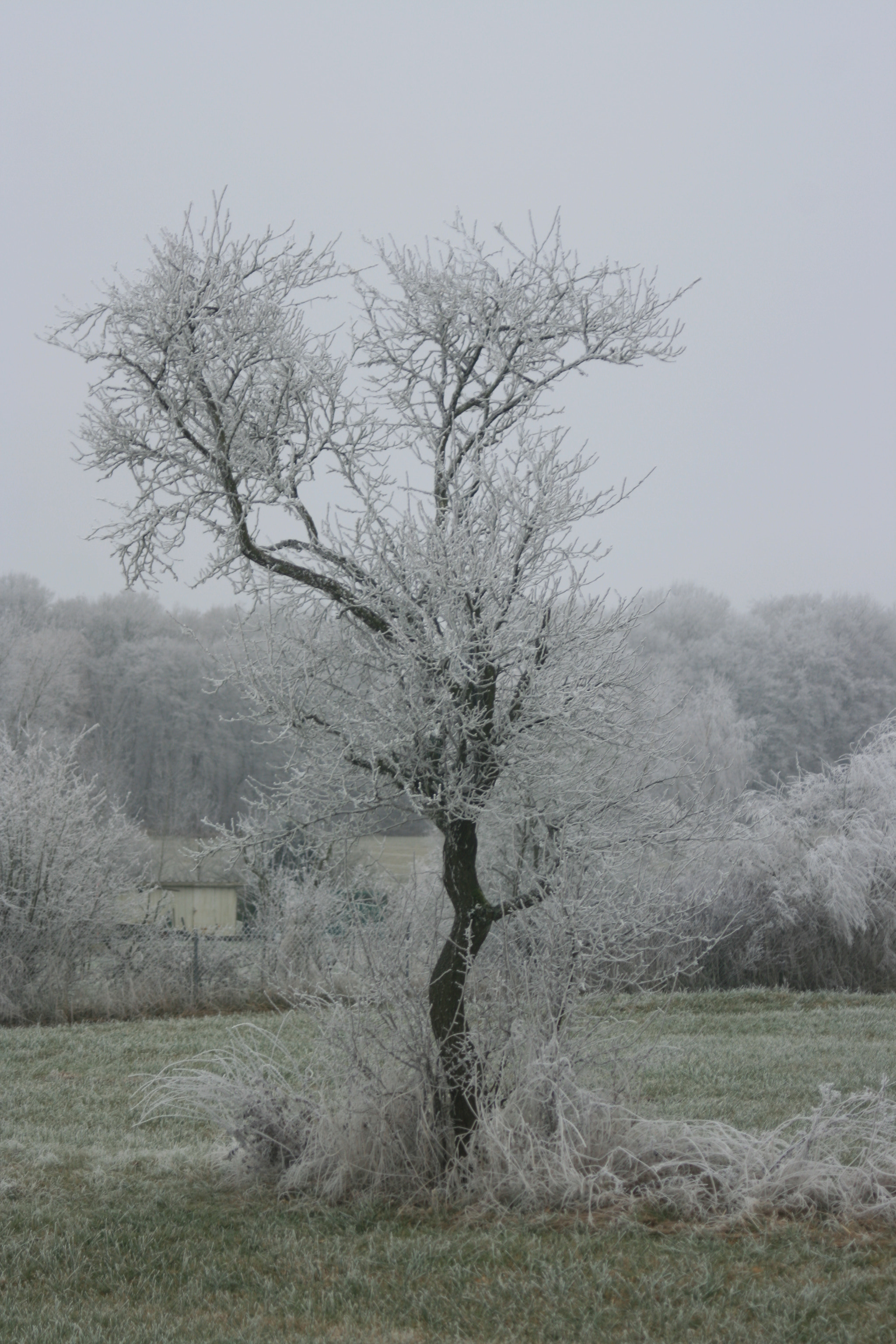 Canon EF 35-80mm f/4-5.6 sample photo. Img photography