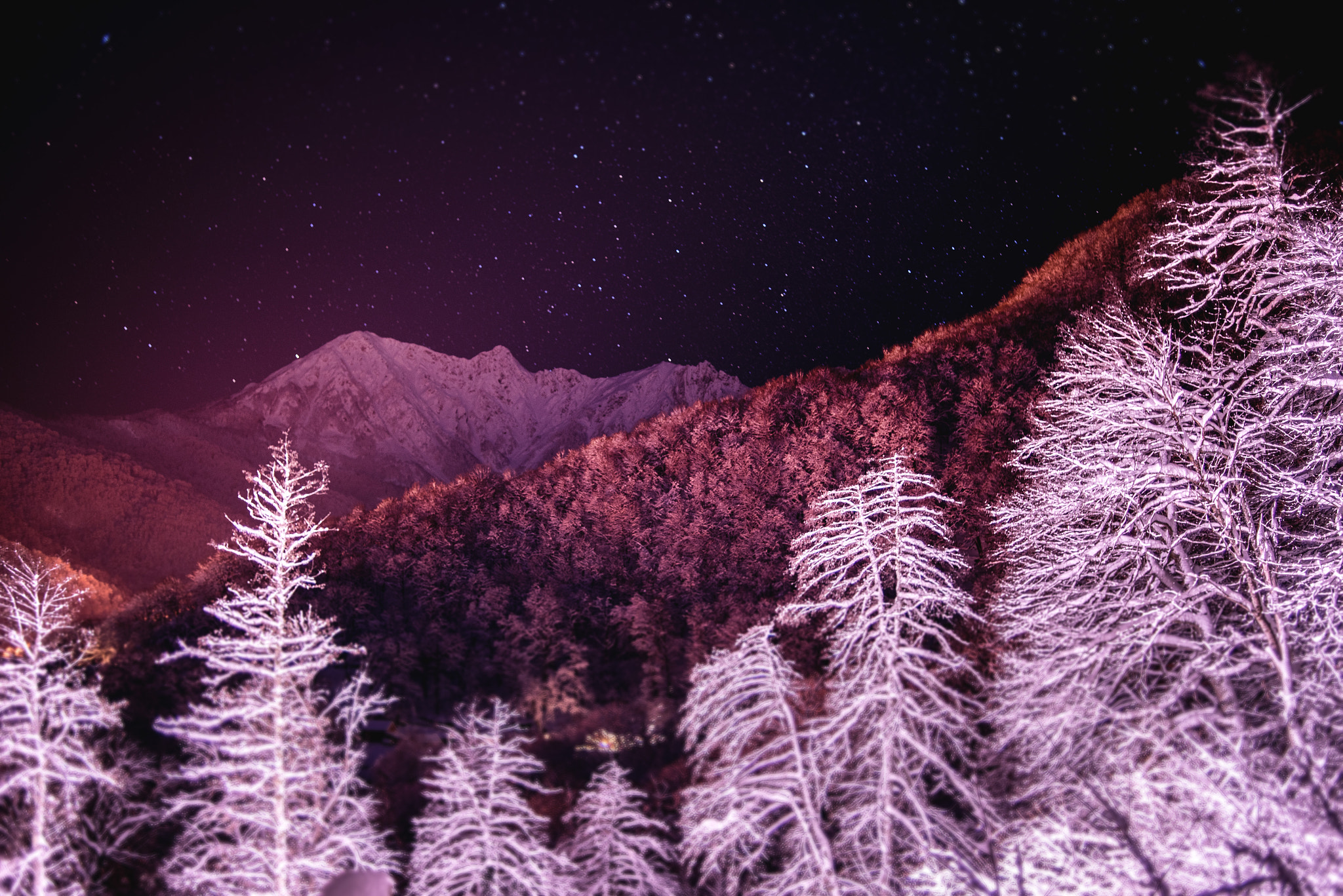 Nikon D750 + Nikon AF Nikkor 35mm F2D sample photo. My blueberry nights photography