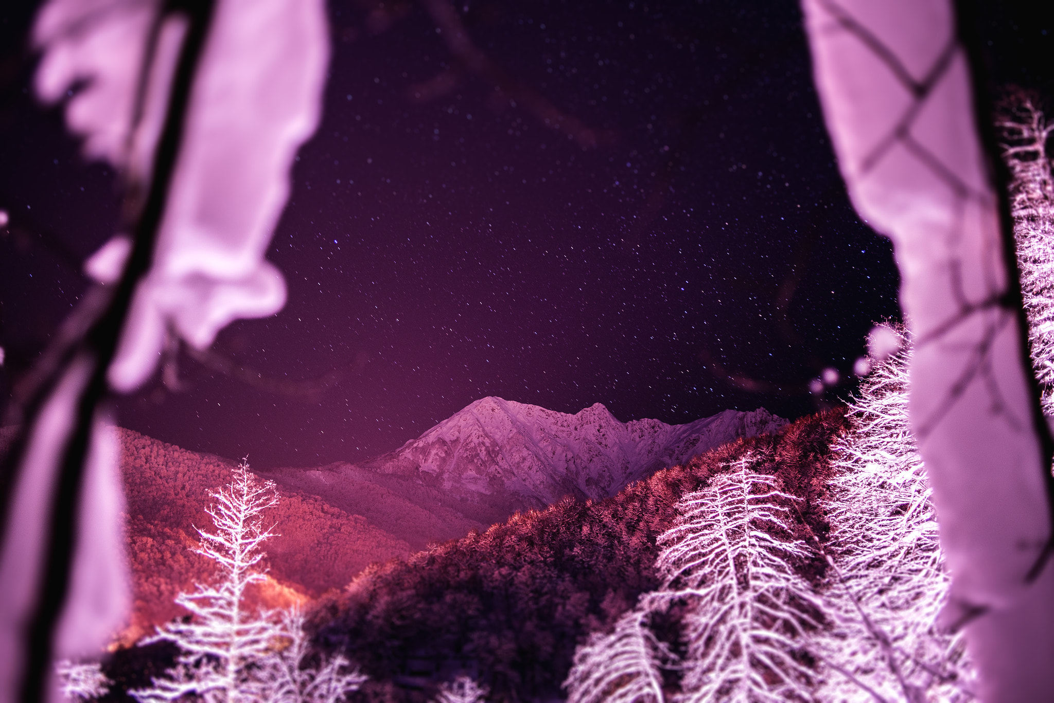 Nikon D750 + Nikon AF Nikkor 35mm F2D sample photo. My blueberry nights photography