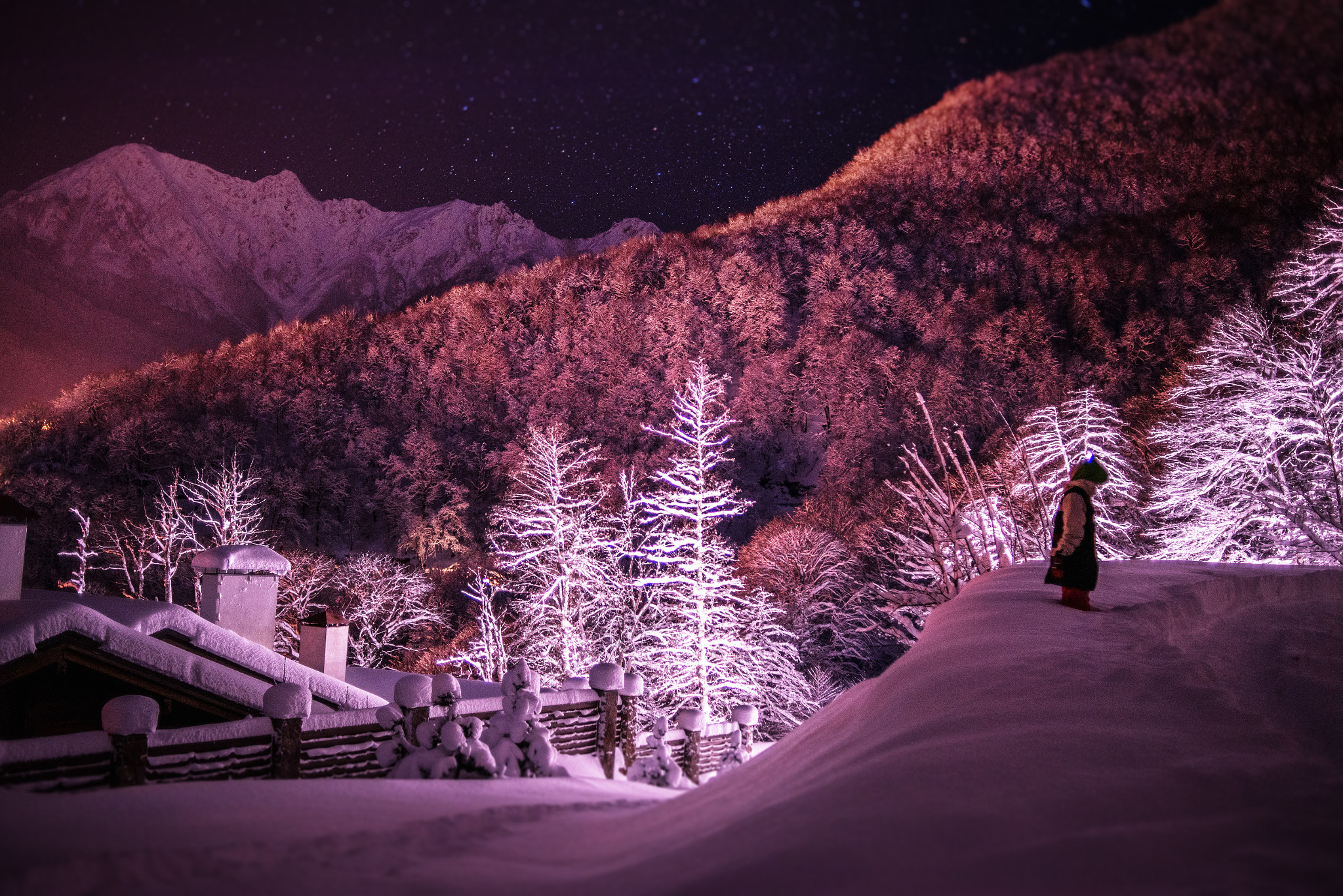 Nikon D750 + Nikon AF Nikkor 35mm F2D sample photo. My blueberry nights photography