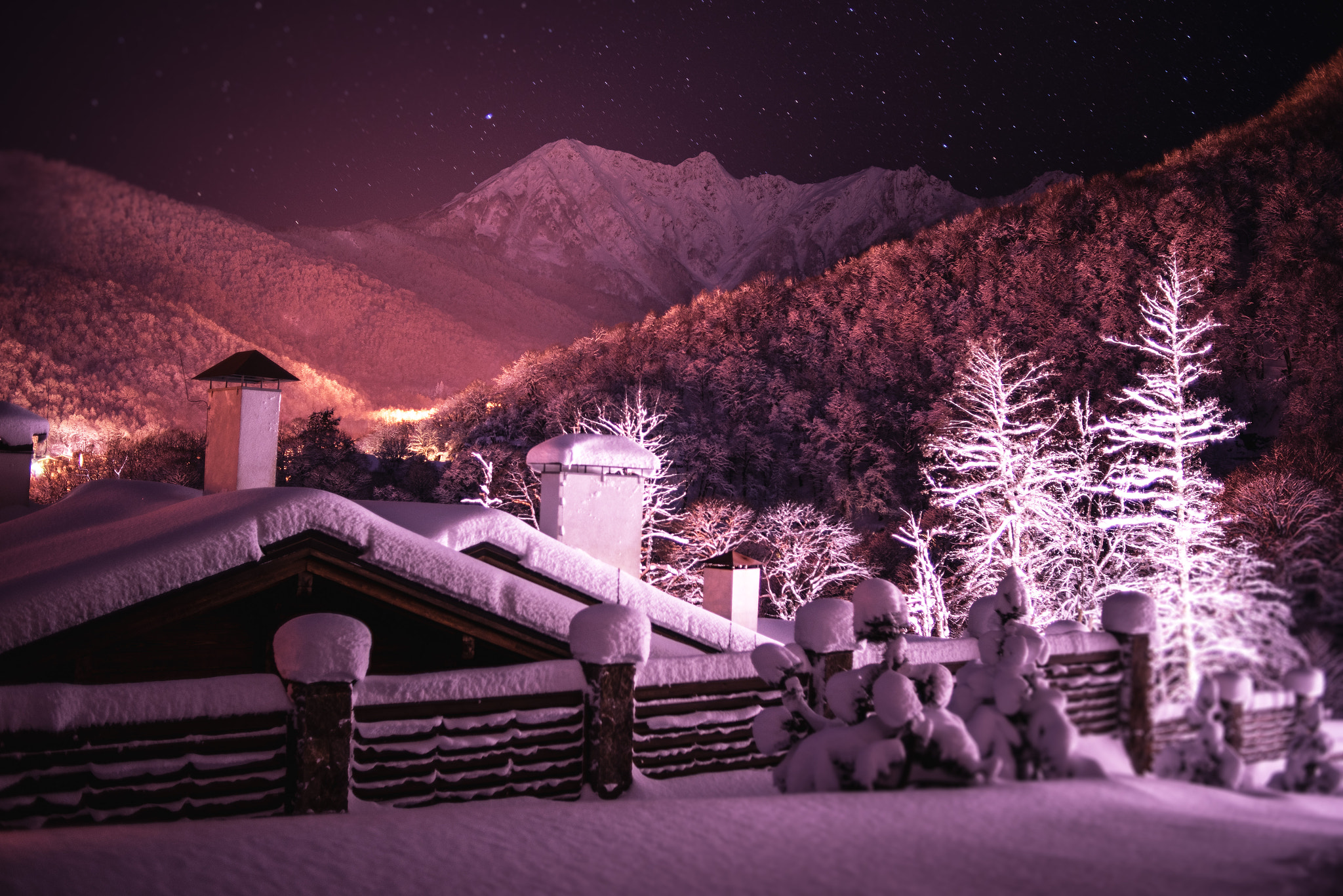 Nikon D750 + Nikon AF Nikkor 35mm F2D sample photo. My blueberry nights photography