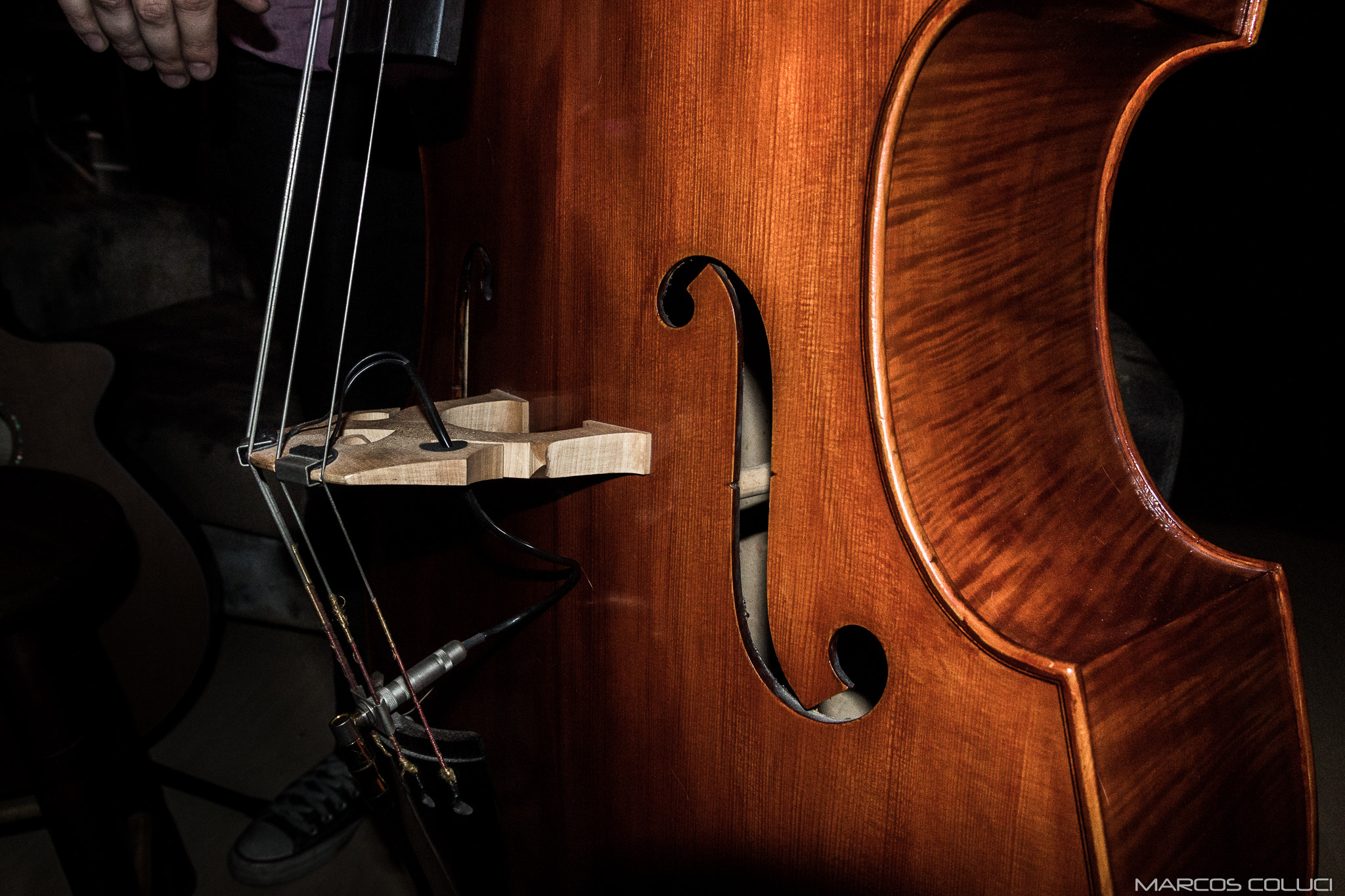 Canon EF-S 17-55mm F2.8 IS USM sample photo. Bass photography