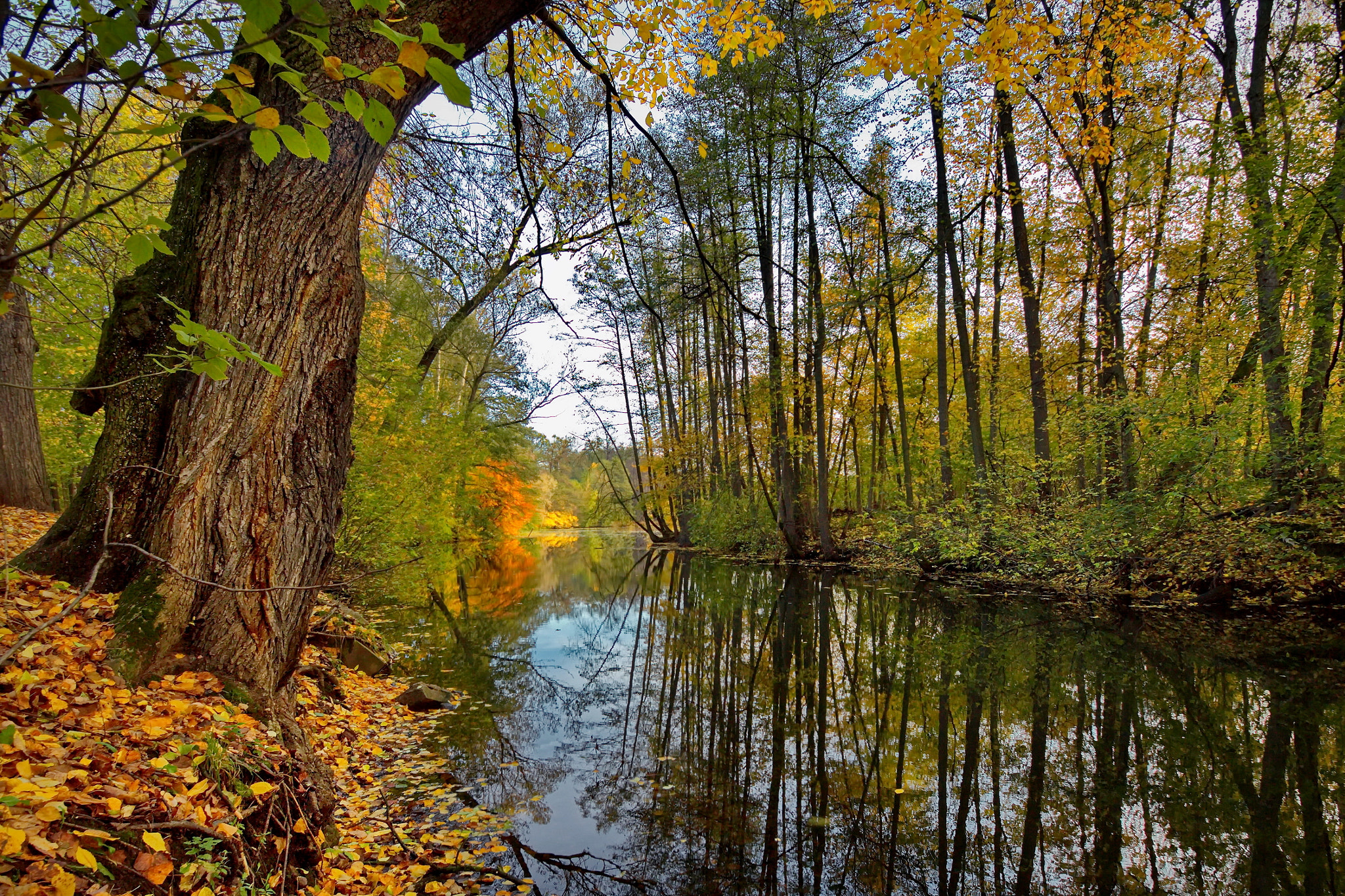 Sigma 10-20mm F3.5 EX DC HSM sample photo. Годы летят стрелою... photography