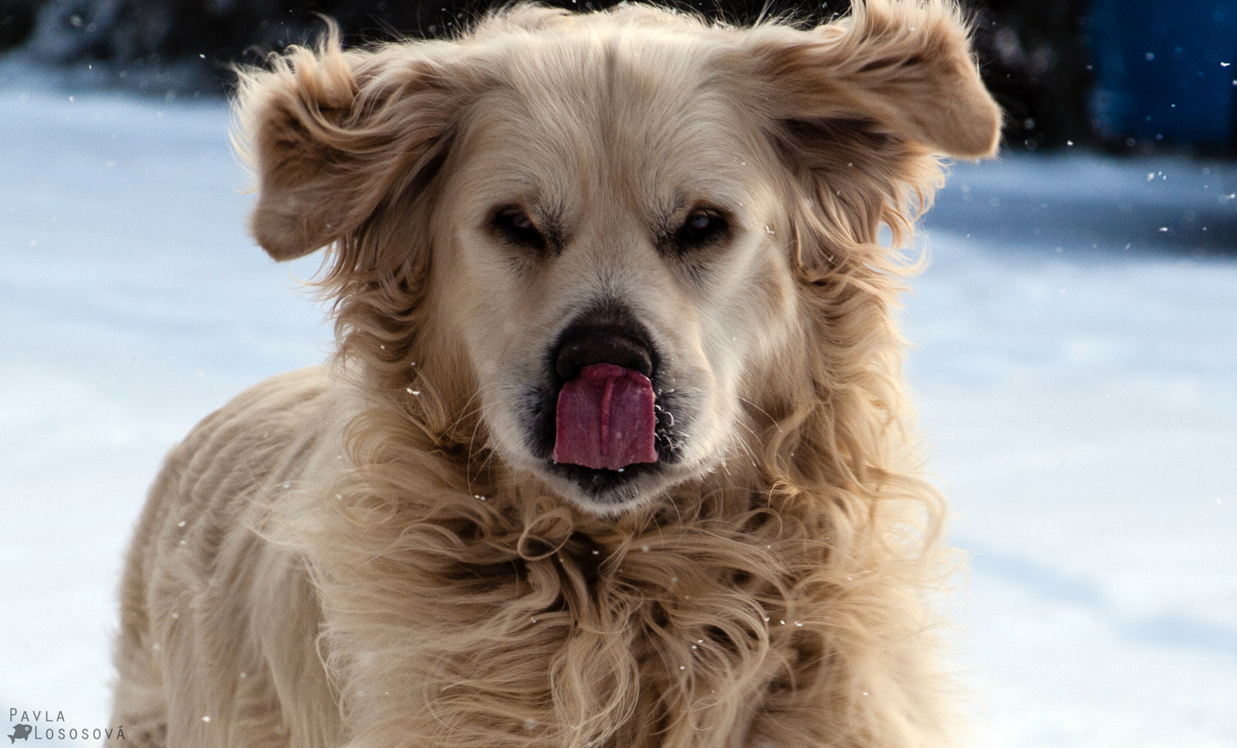 Olympus Zuiko Digital ED 40-150mm F4.0-5.6 sample photo. Pure happiness photography