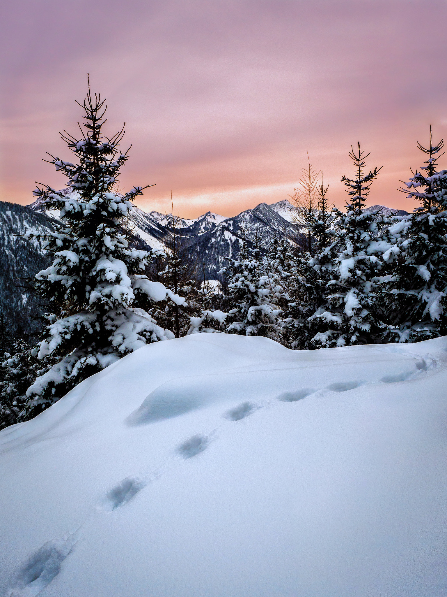 Panasonic Lumix DMC-GX8 sample photo. Spuren im schnee photography