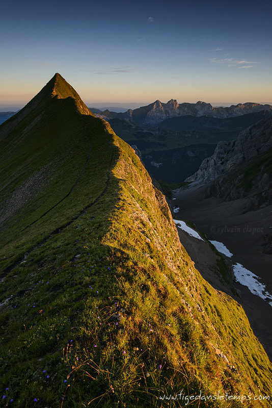 Nikon AF-S Nikkor 17-35mm F2.8D ED-IF sample photo. Pointe de tardevant photography