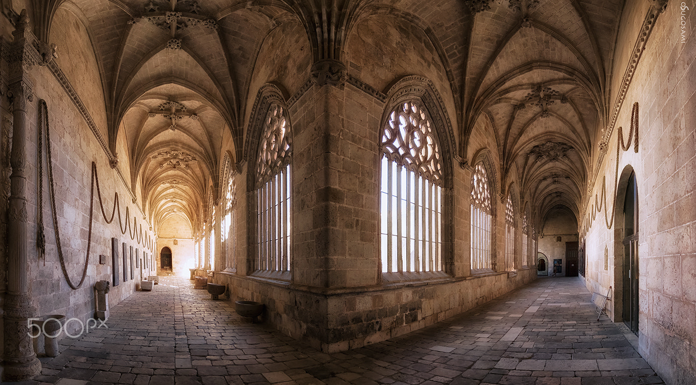 Canon EOS 80D + Tokina AT-X Pro 11-16mm F2.8 DX sample photo. El claustro photography