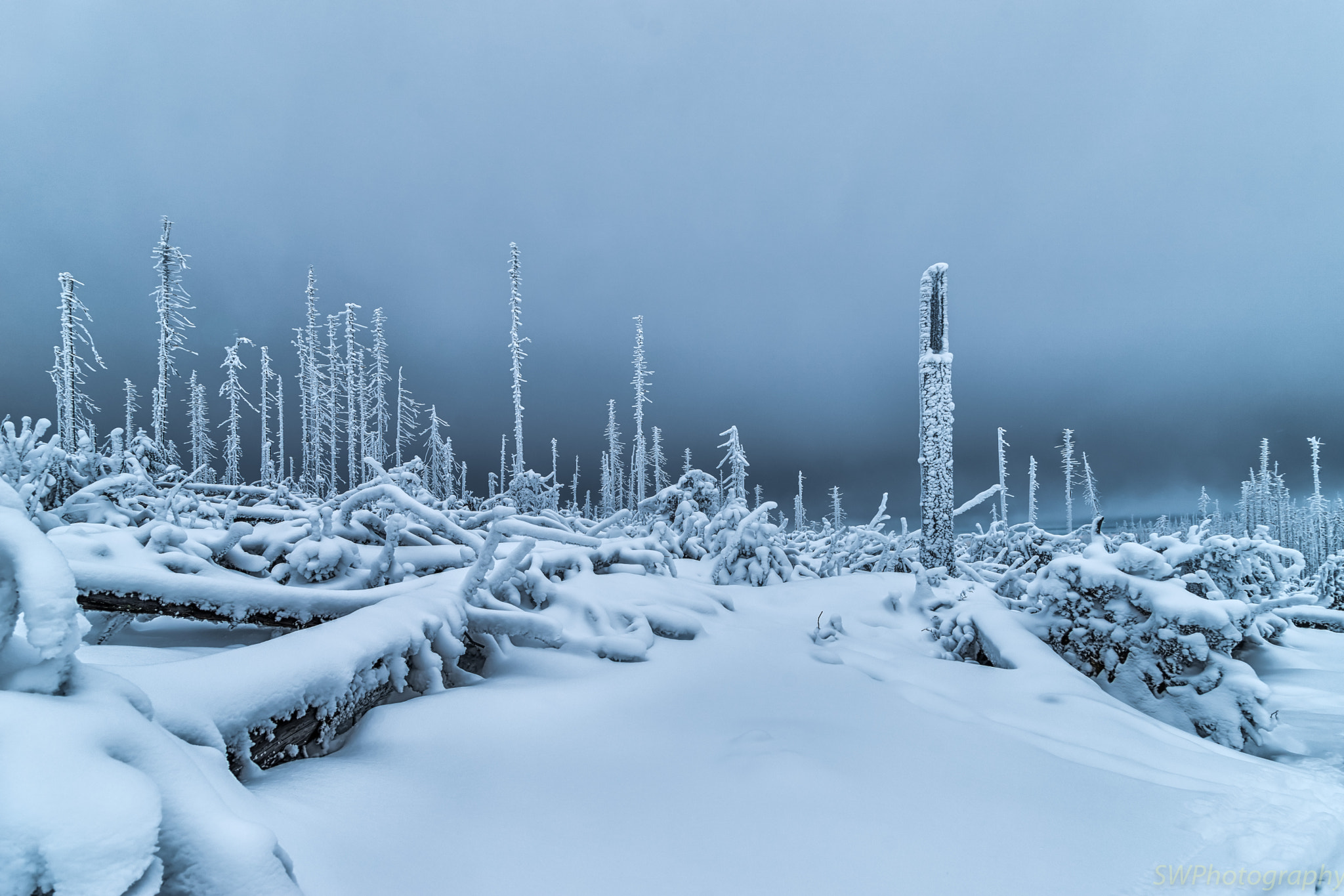 Canon EF 24-105mm F4L IS USM sample photo. Snow desert photography