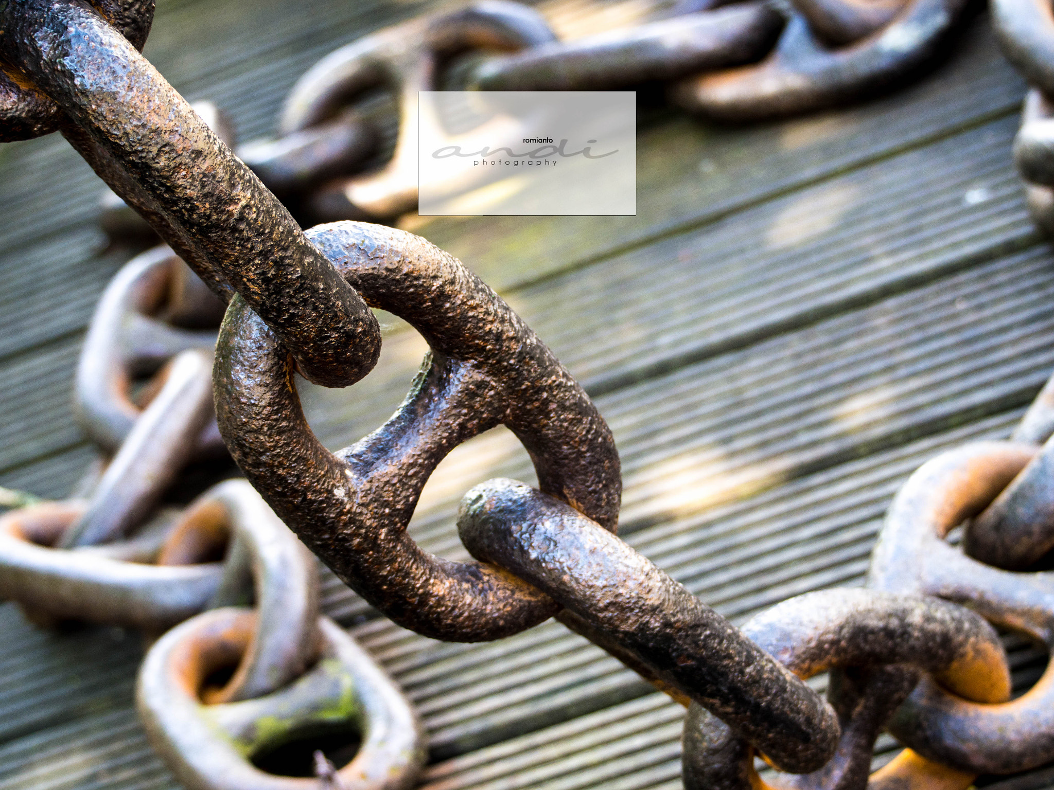 Olympus OM-D E-M5 sample photo. An unchained story photography