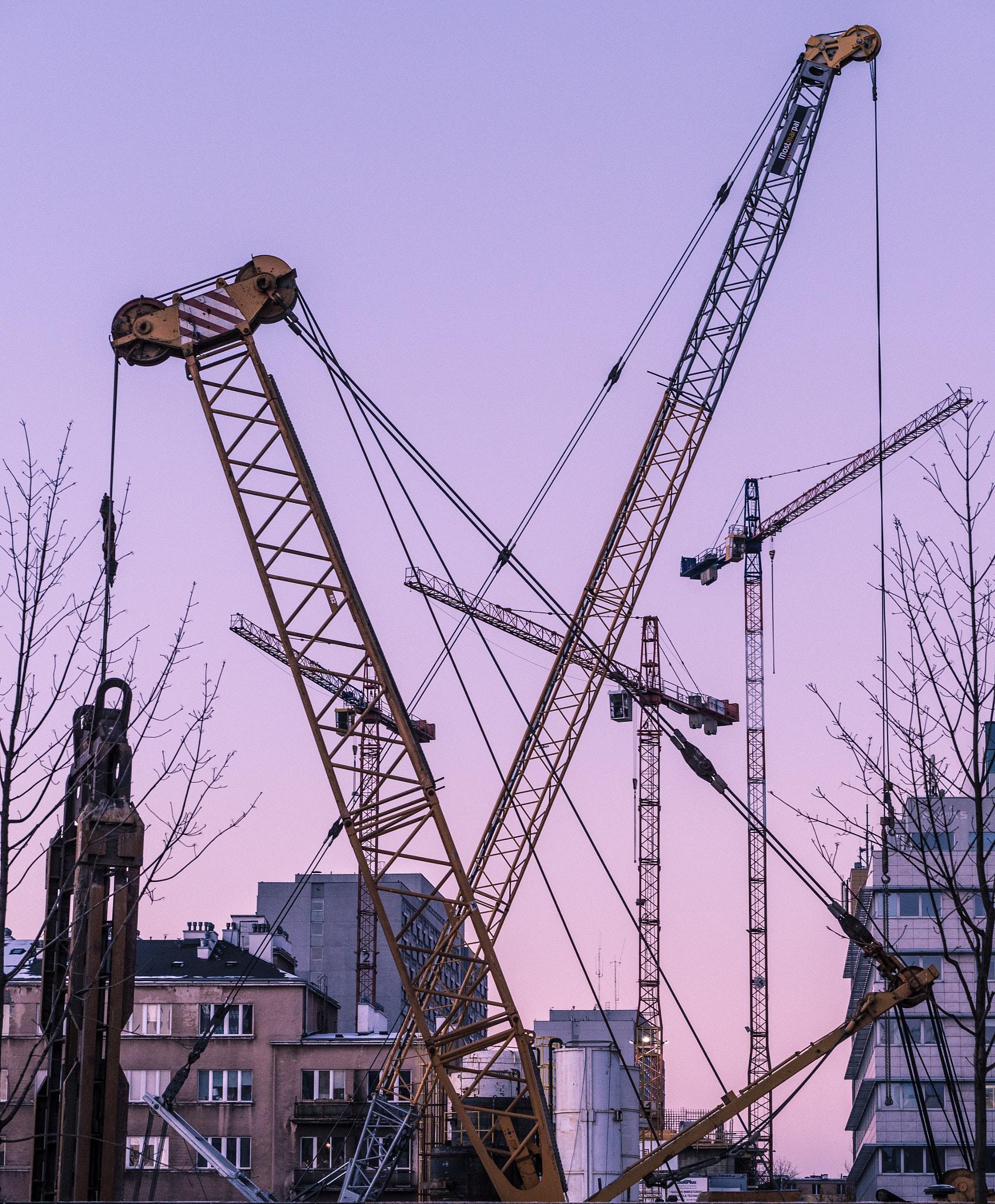 Panasonic Lumix G 42.5mm F1.7 ASPH Power OIS sample photo. Cranes photography