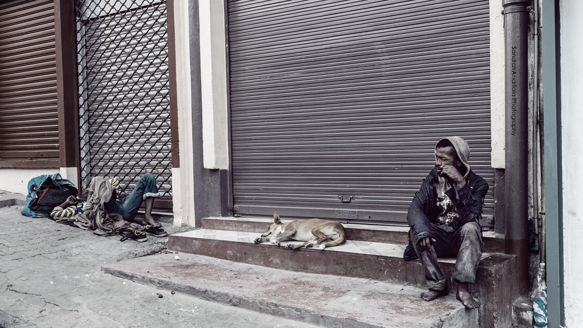 Nikon D300S sample photo. Hard life photography