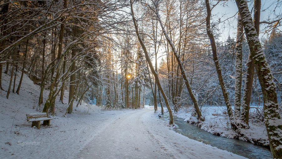 Sigma 10-20mm F3.5 EX DC HSM sample photo. Winterwalk photography