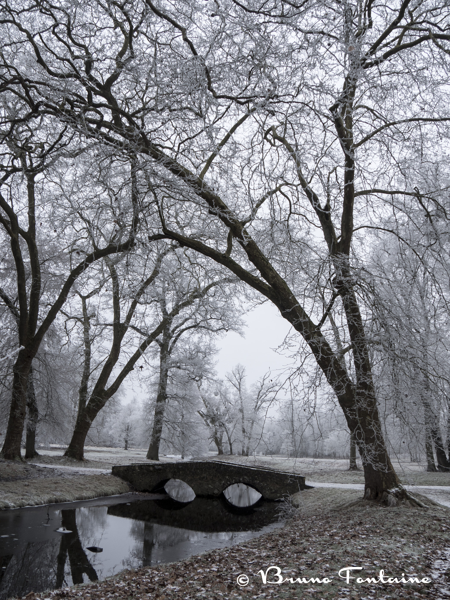 Panasonic Lumix DMC-GH4 sample photo. Le petit pont glacé photography