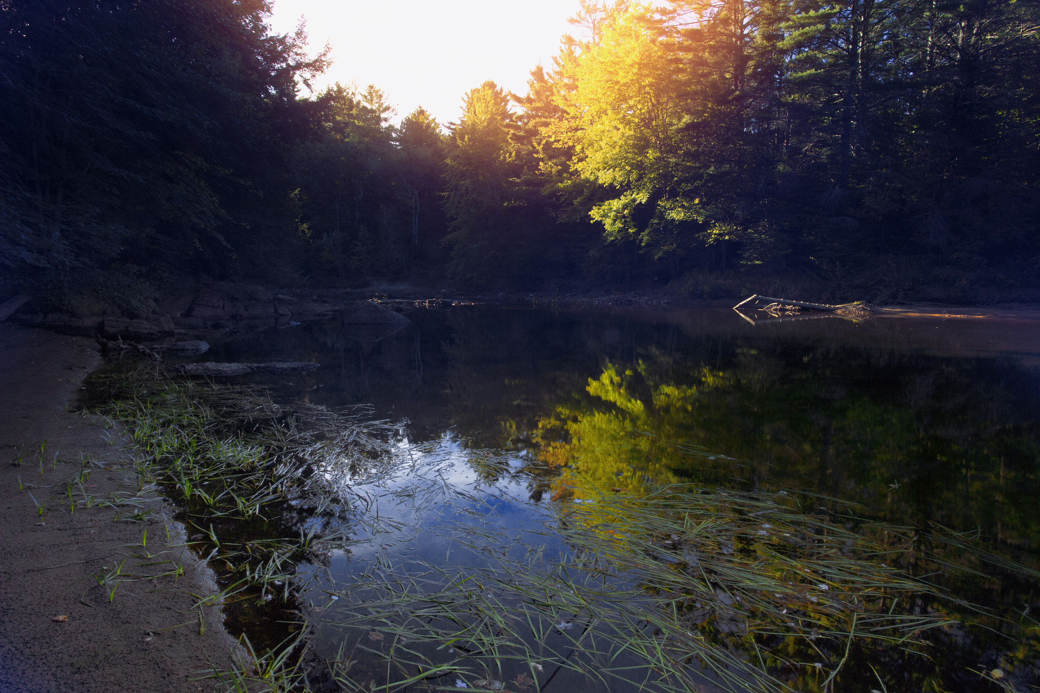 Canon EOS-1D X + Canon EF 17-40mm F4L USM sample photo. Along the river one day photography