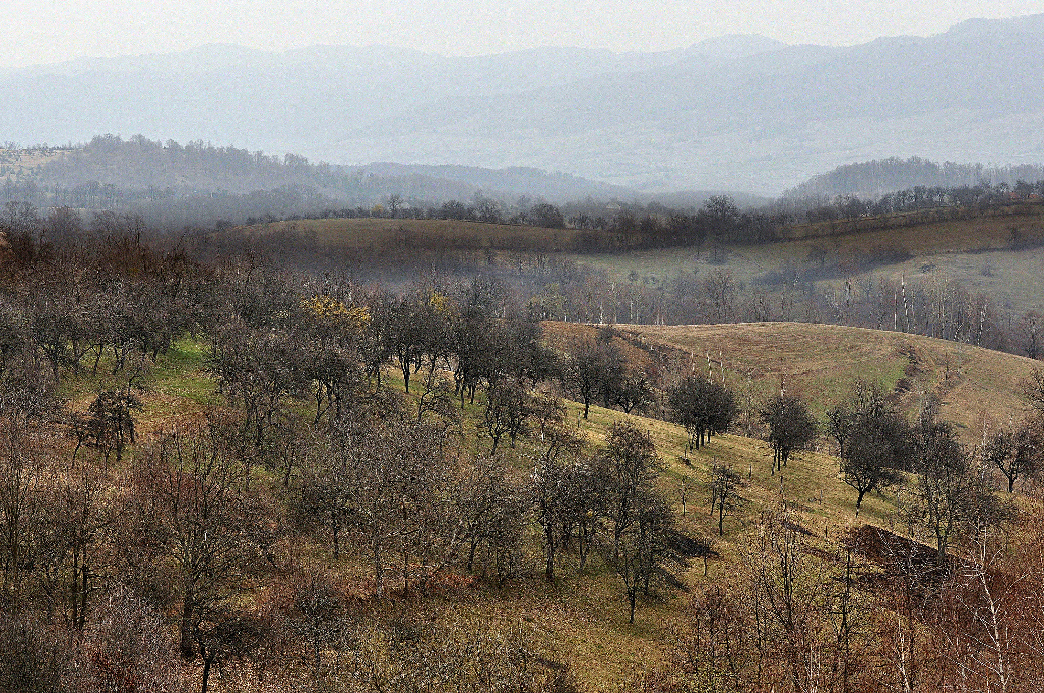 Sigma 105mm F2.8 EX DG OS HSM sample photo. Hills photography