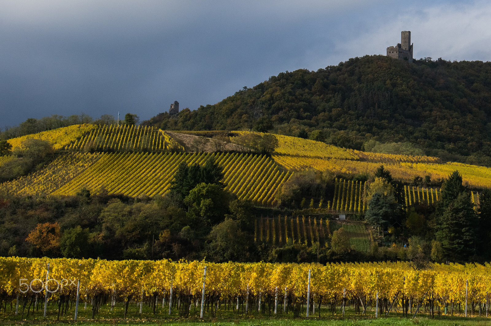 Pentax smc DA* 16-50mm F2.8 ED AL (IF) SDM sample photo. Elsass i photography