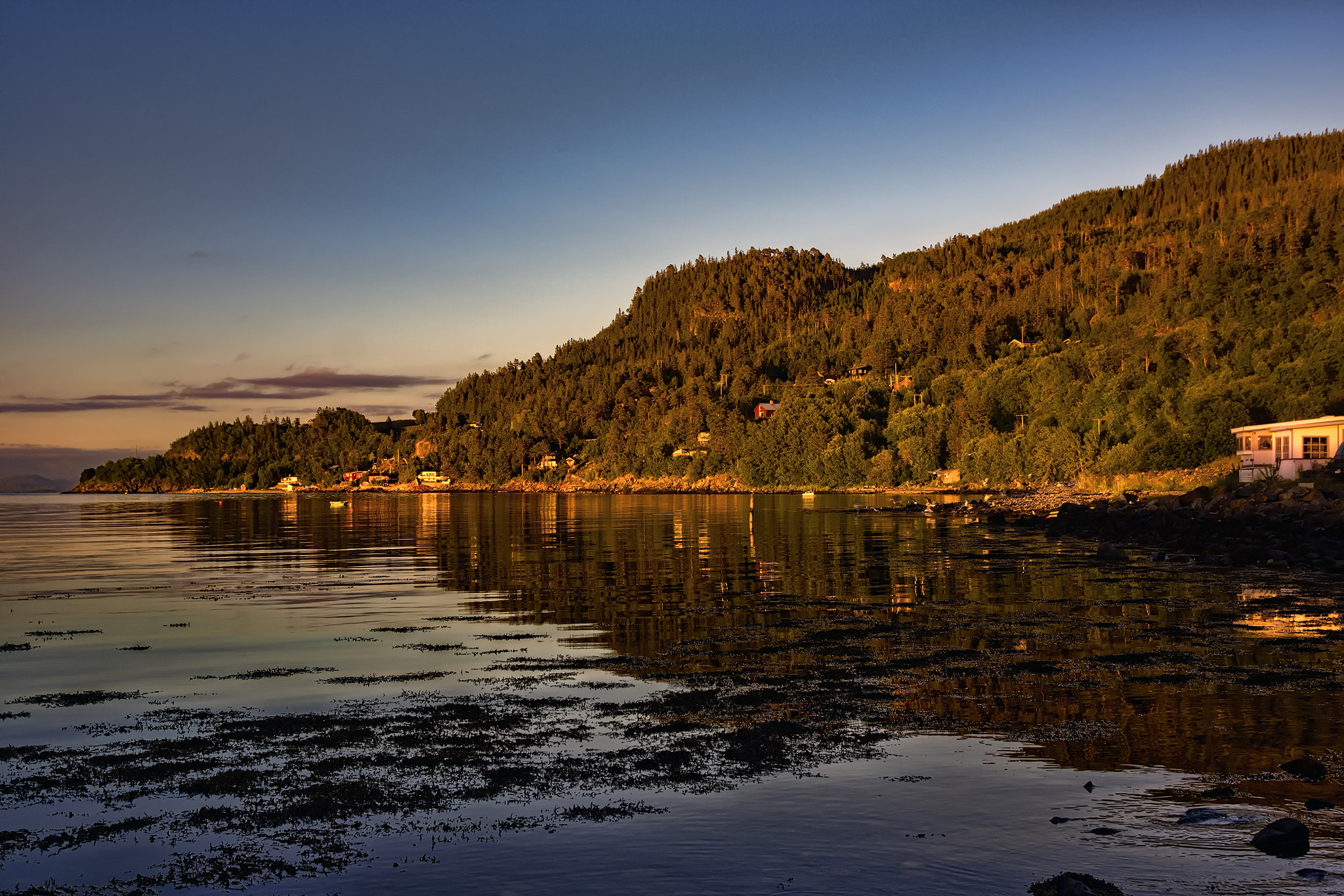 Sony SLT-A65 (SLT-A65V) sample photo. Golden hour at the campsite! photography