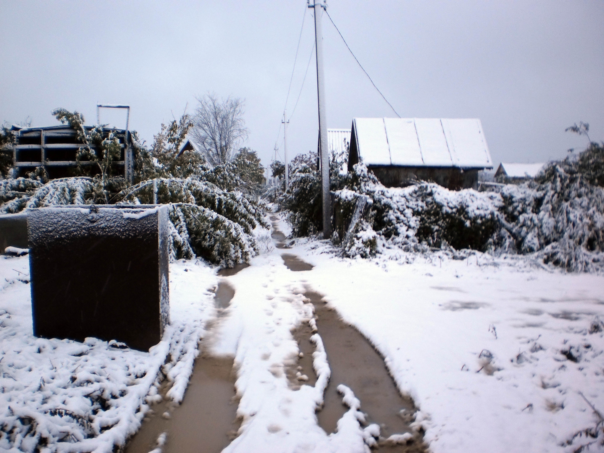Olympus T105,T100,X36 sample photo. Russian winter orenburg 1 photography
