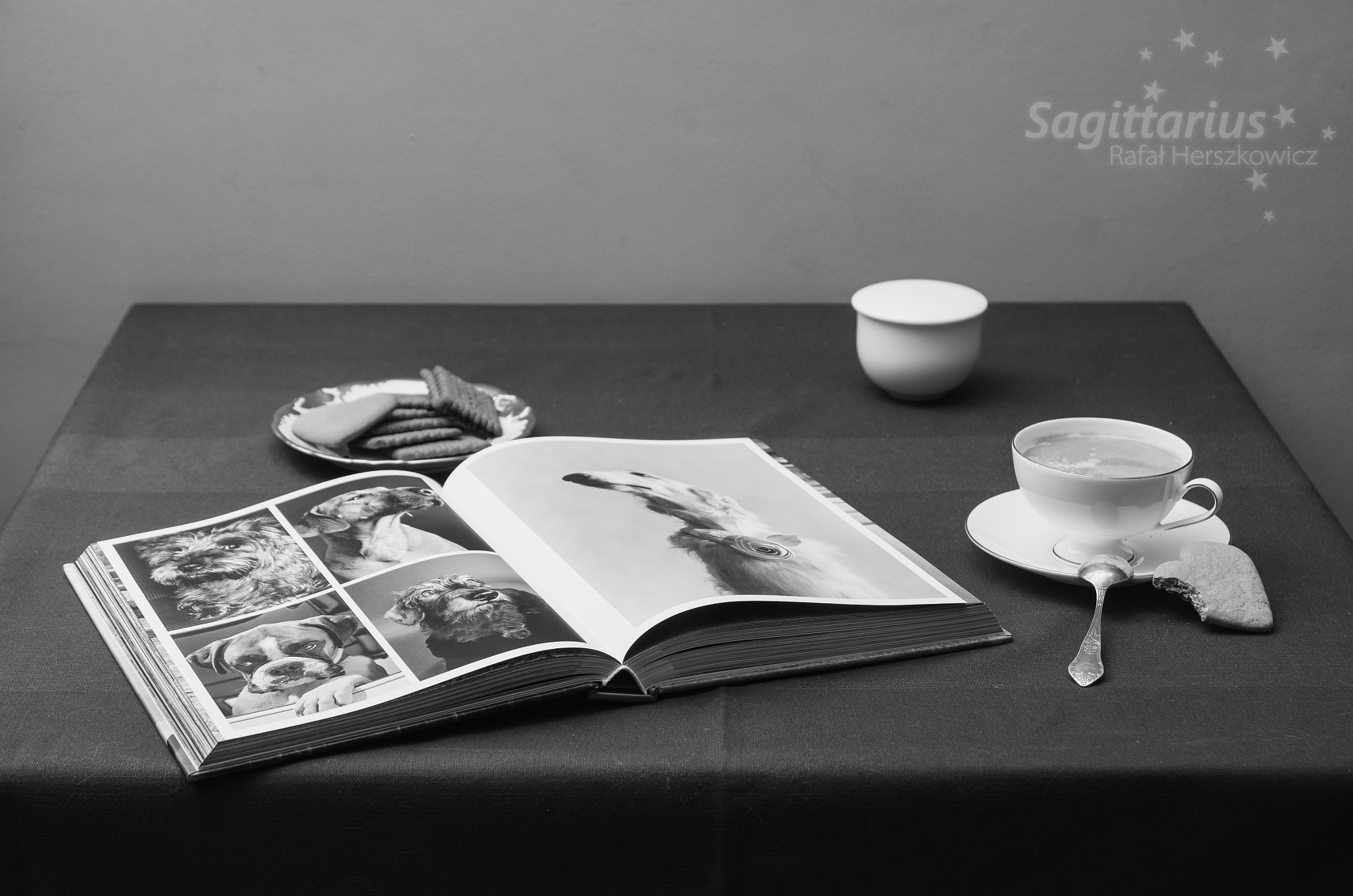 Pentax K-30 sample photo. It's time for elliott erwitt (9/365) photography