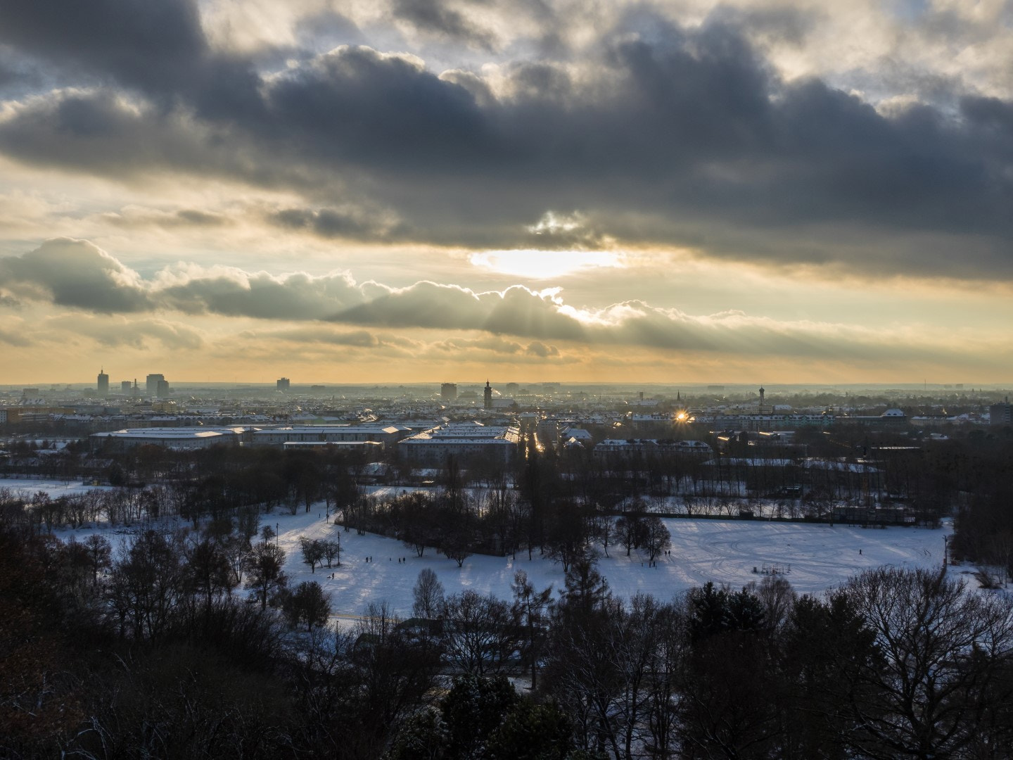 Panasonic Lumix G X Vario 12-35mm F2.8 ASPH Power OIS sample photo. Contact photography