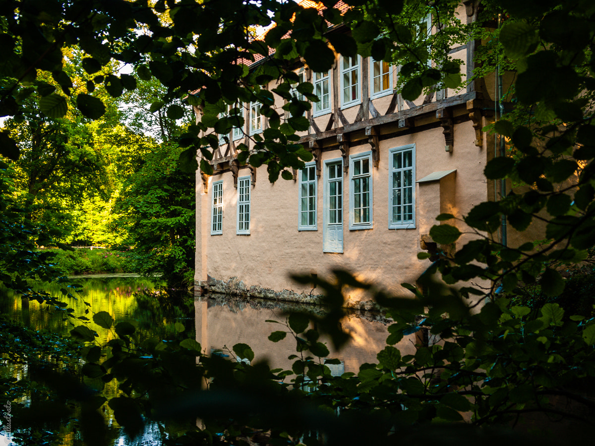 Olympus PEN E-P1 sample photo. Water castle photography