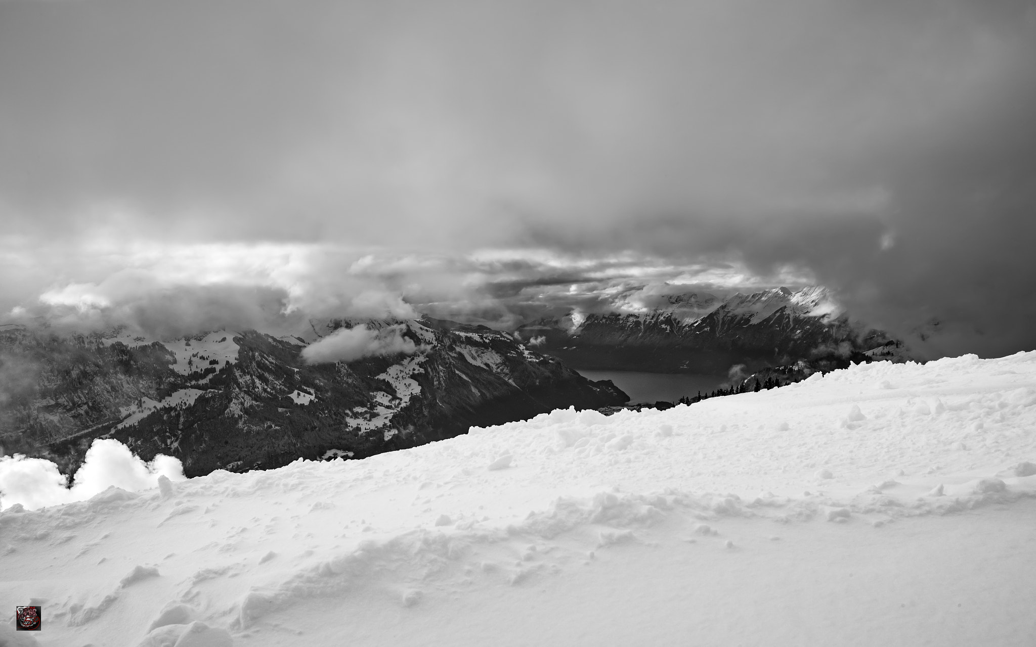 Leica M9 + Leica Summicron-M 35mm F2 ASPH sample photo. Winter: silence 2 (2) photography