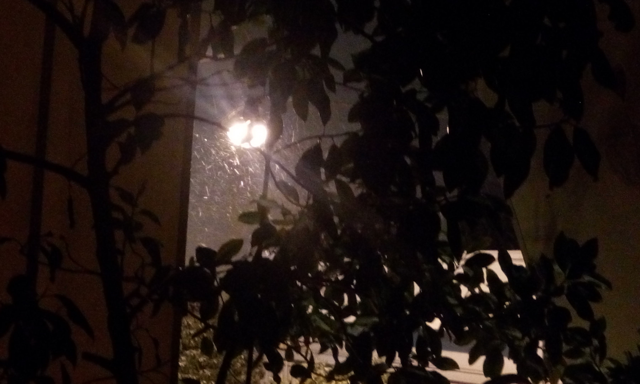 HTC DESIRE 816G DUAL SIM sample photo. Let it snow!!! photography