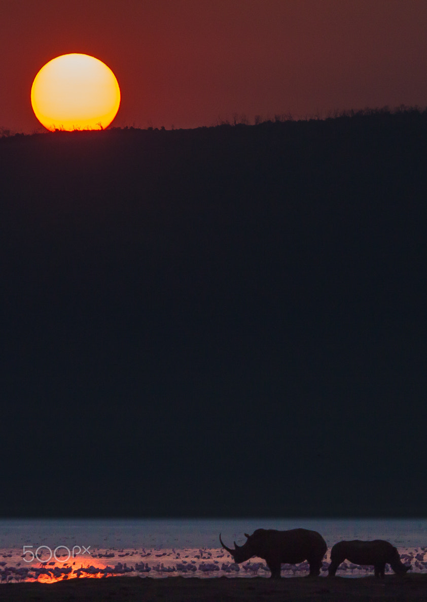 Canon EF 100-400mm F4.5-5.6L IS USM sample photo. Sunset nakuru lake photography