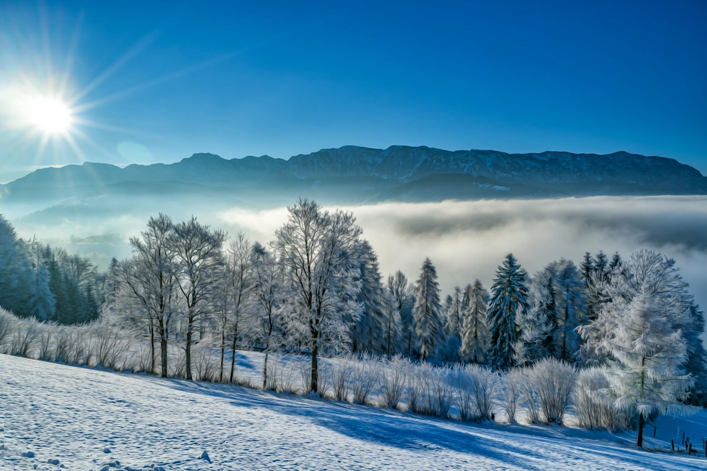 Wintermalerei by Hubert Bichler on 500px.com