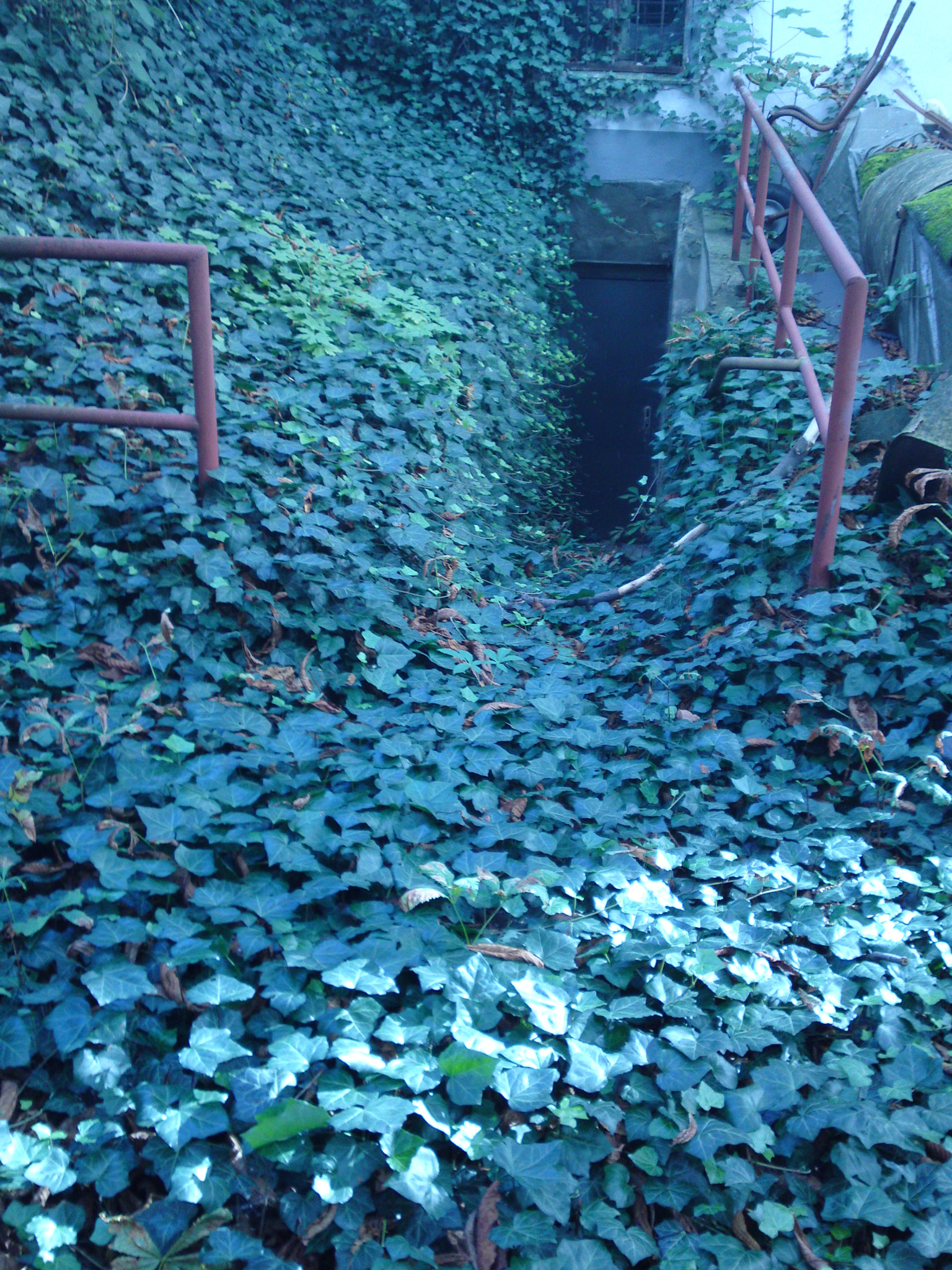 Sony Ericsson U1i sample photo. Green cellar photography